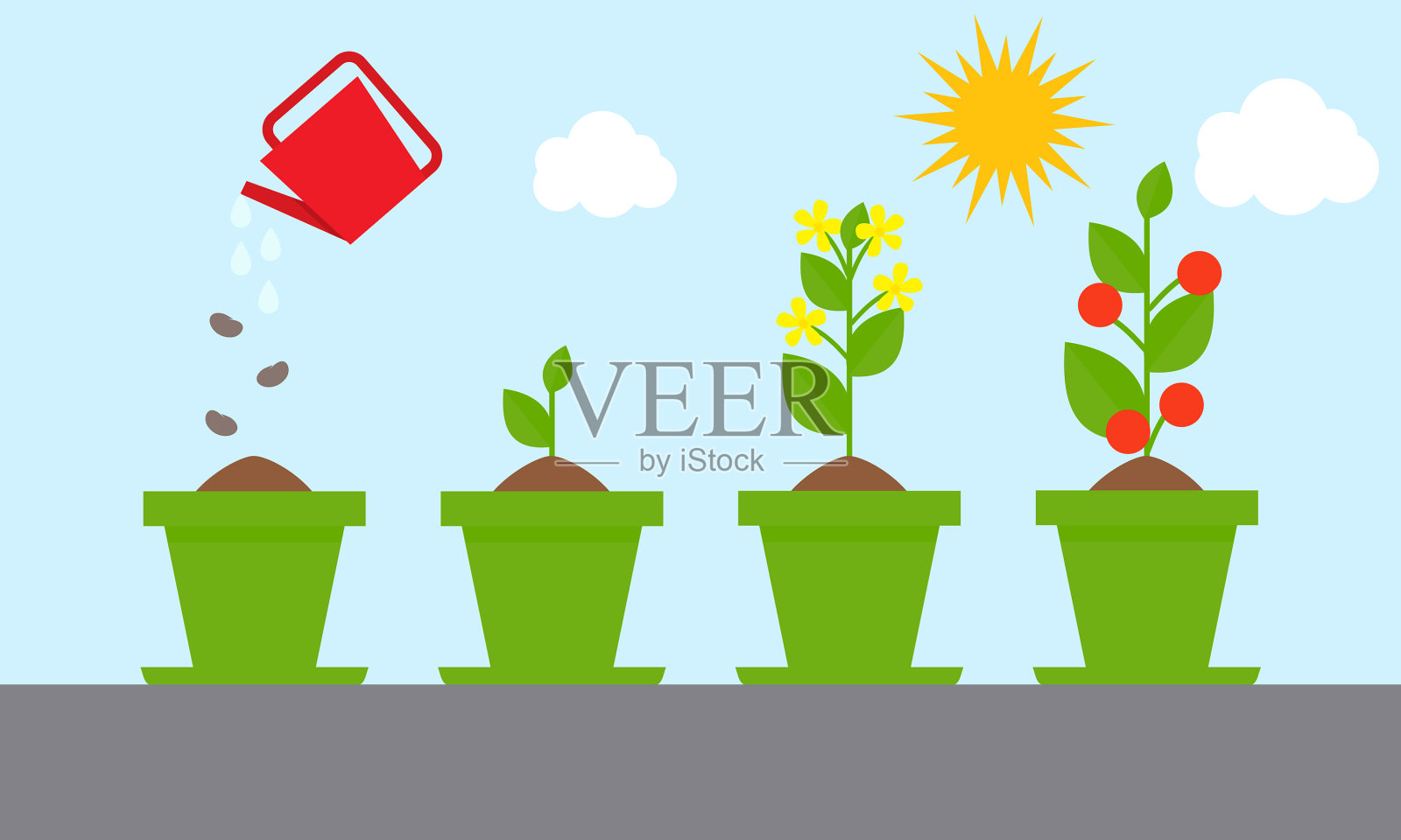 时间轴信息图种植树木的过程插画图片素材