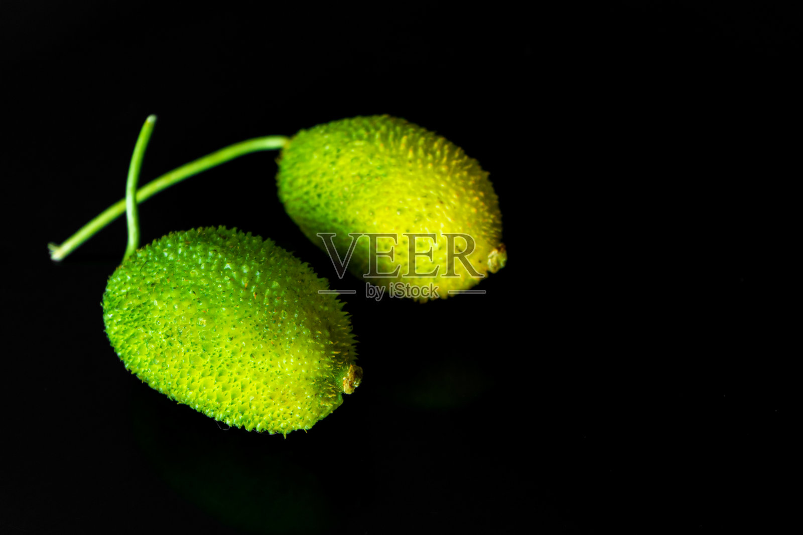 绿色的热带苦瓜或中国苦瓜在黑色的背景照片摄影图片