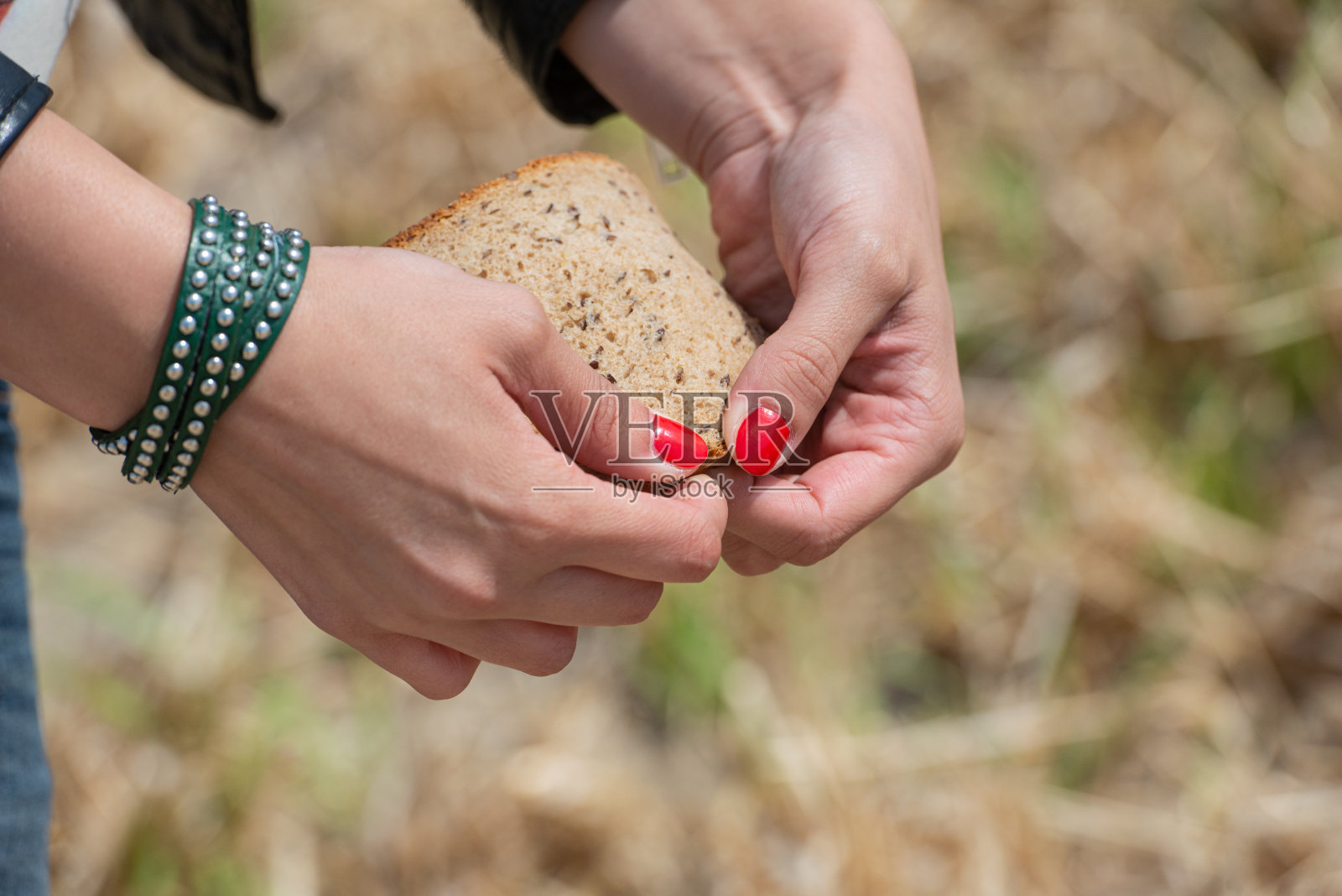 一个年轻女子手里拿着一片面包。喂鸟，用面包照片摄影图片