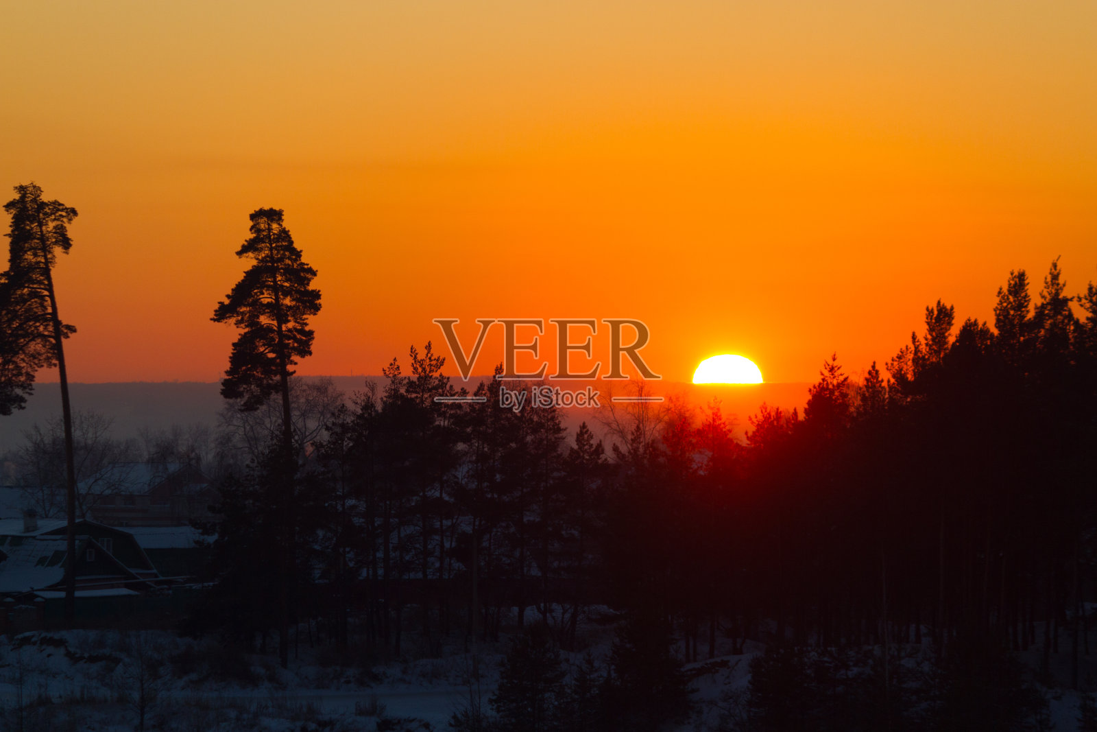 森林中的日落照片摄影图片