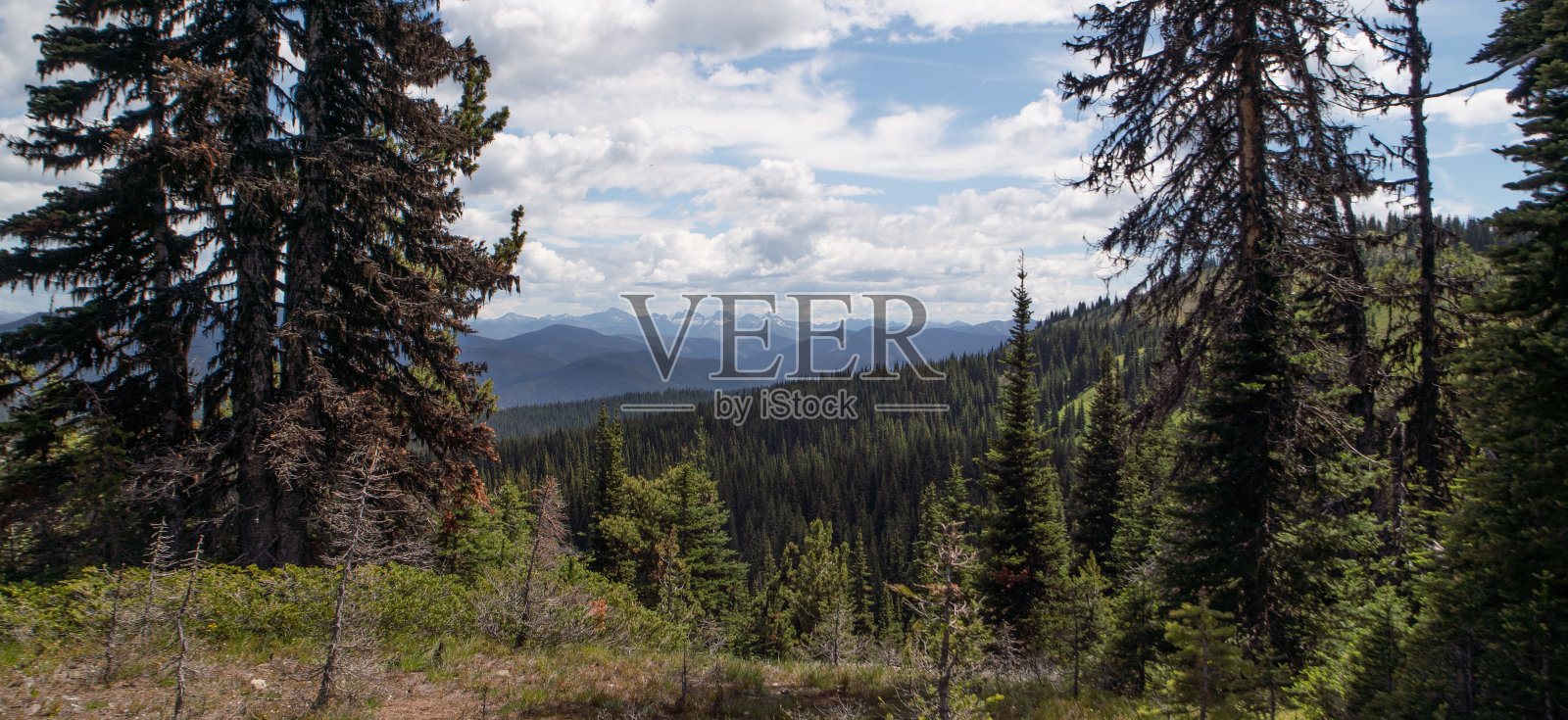 眺望远方的群山，加拿大不列颠哥伦比亚省的曼宁公园照片摄影图片