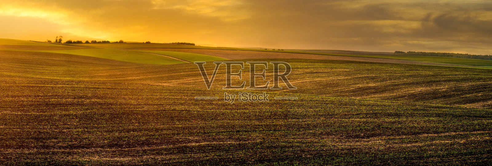 春耕的田野，黄昏的灯光照片摄影图片