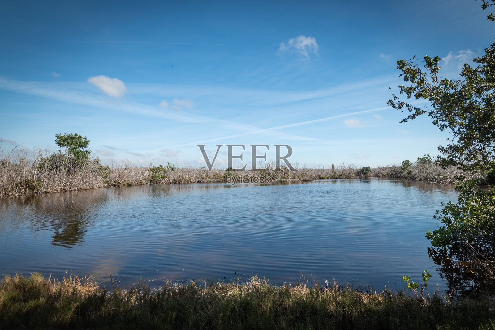 美丽而自然的佛罗里达公园照片摄影图片