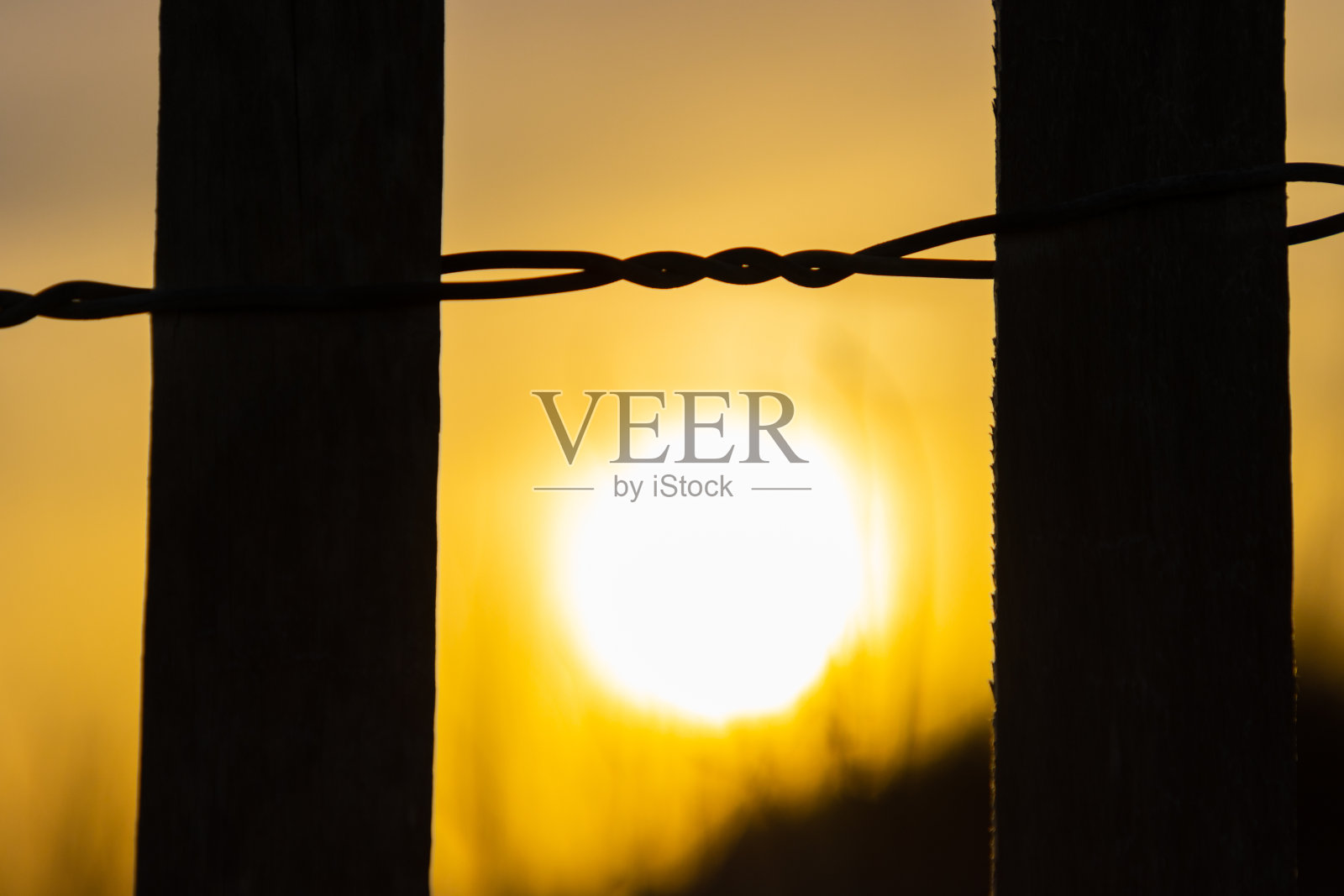 沙丘草木和铁丝网栅栏日落天空的剪影照片摄影图片