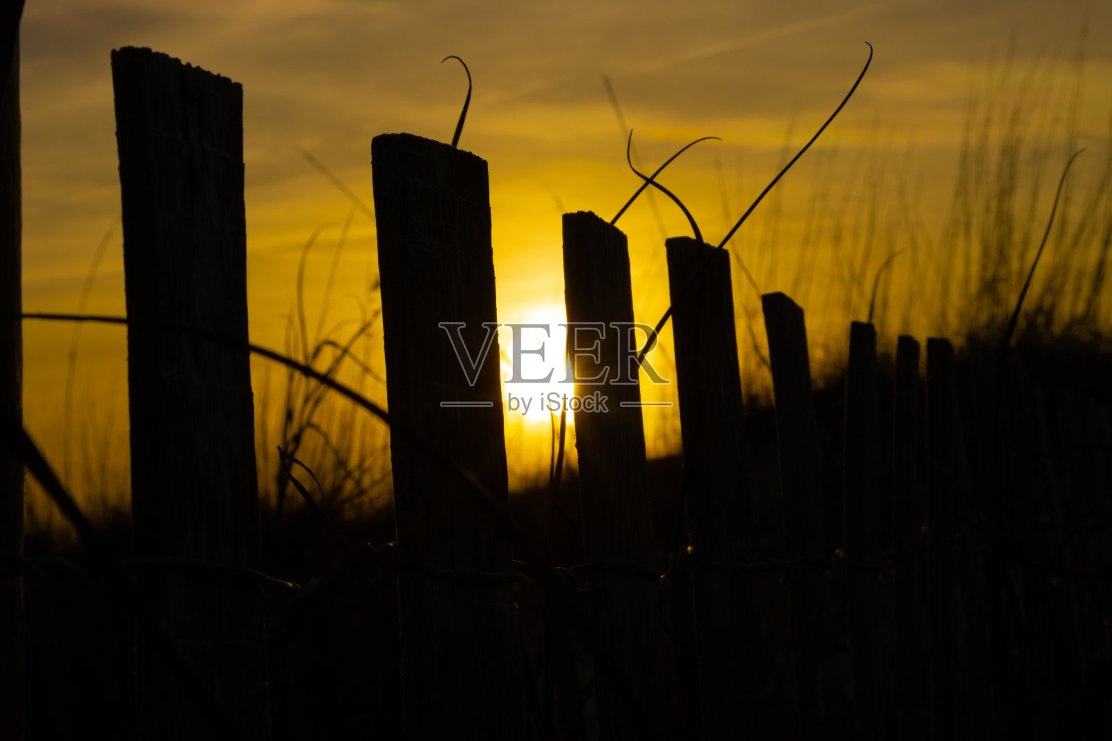 沙丘草木和铁丝网栅栏日落天空的剪影照片摄影图片
