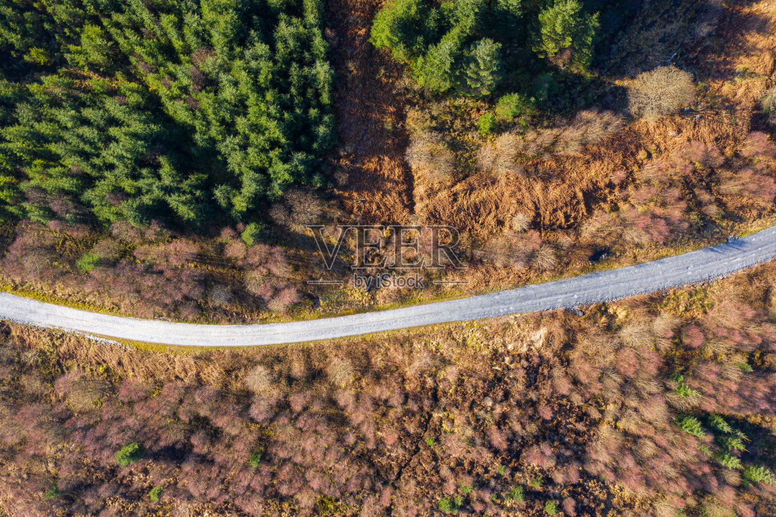 无人机拍摄的苏格兰一条土林路照片摄影图片