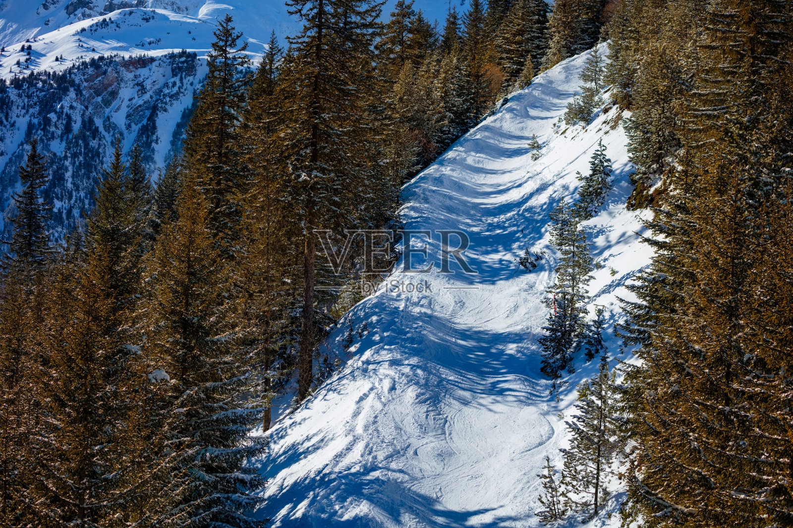 坚硬的黑色滑雪道在森林的法国山照片摄影图片