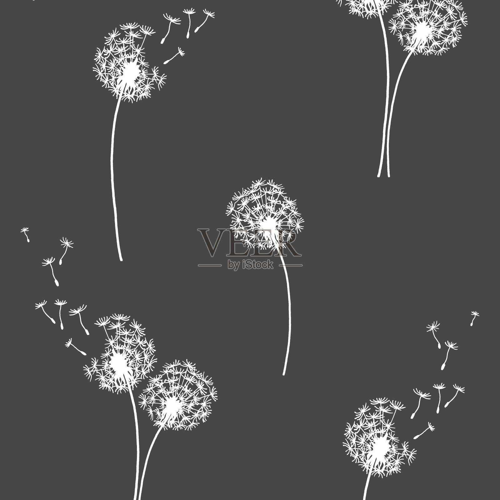 蒲公英轮廓灰色无缝矢量模式插画图片素材