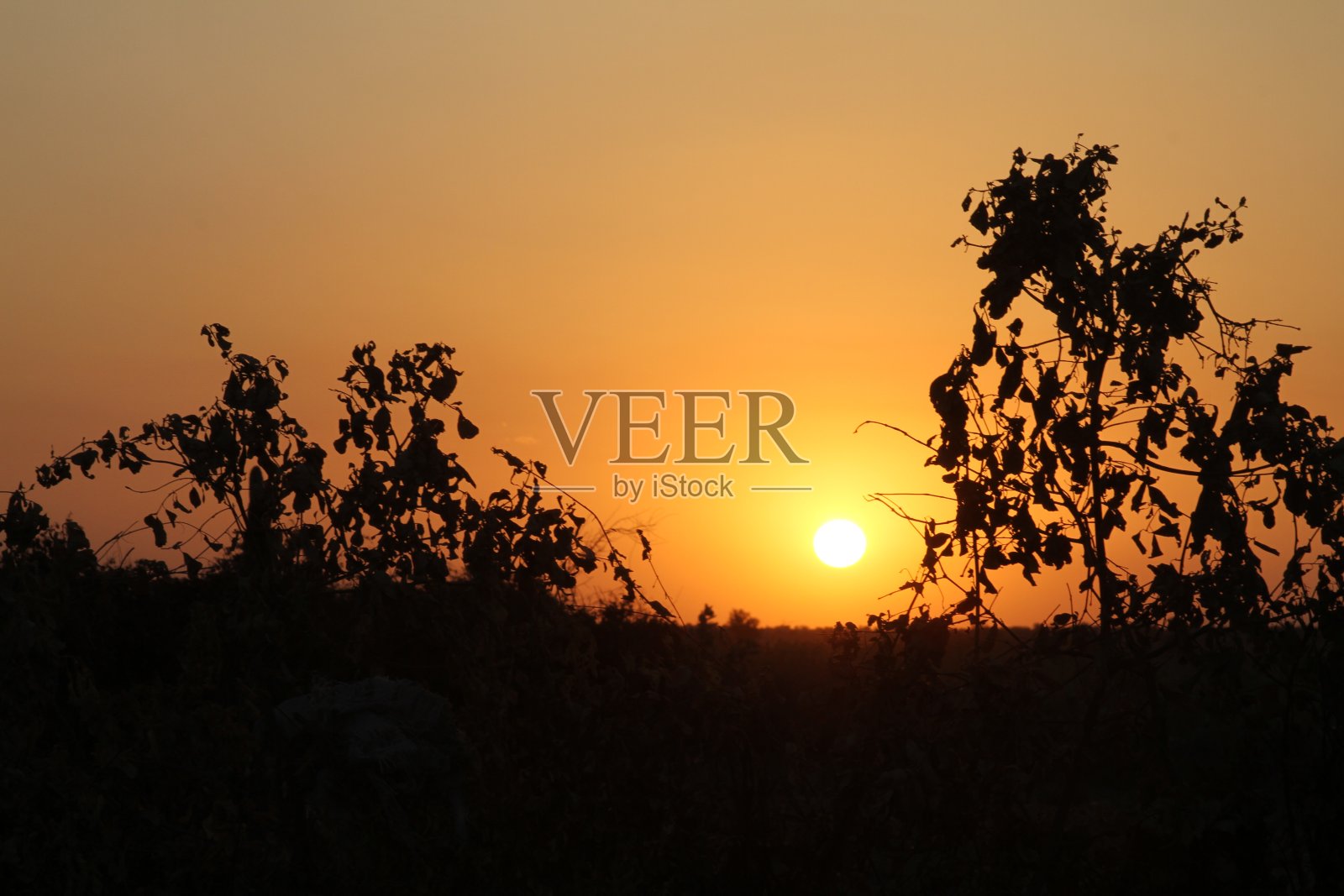 日落在埃塞俄比亚照片摄影图片