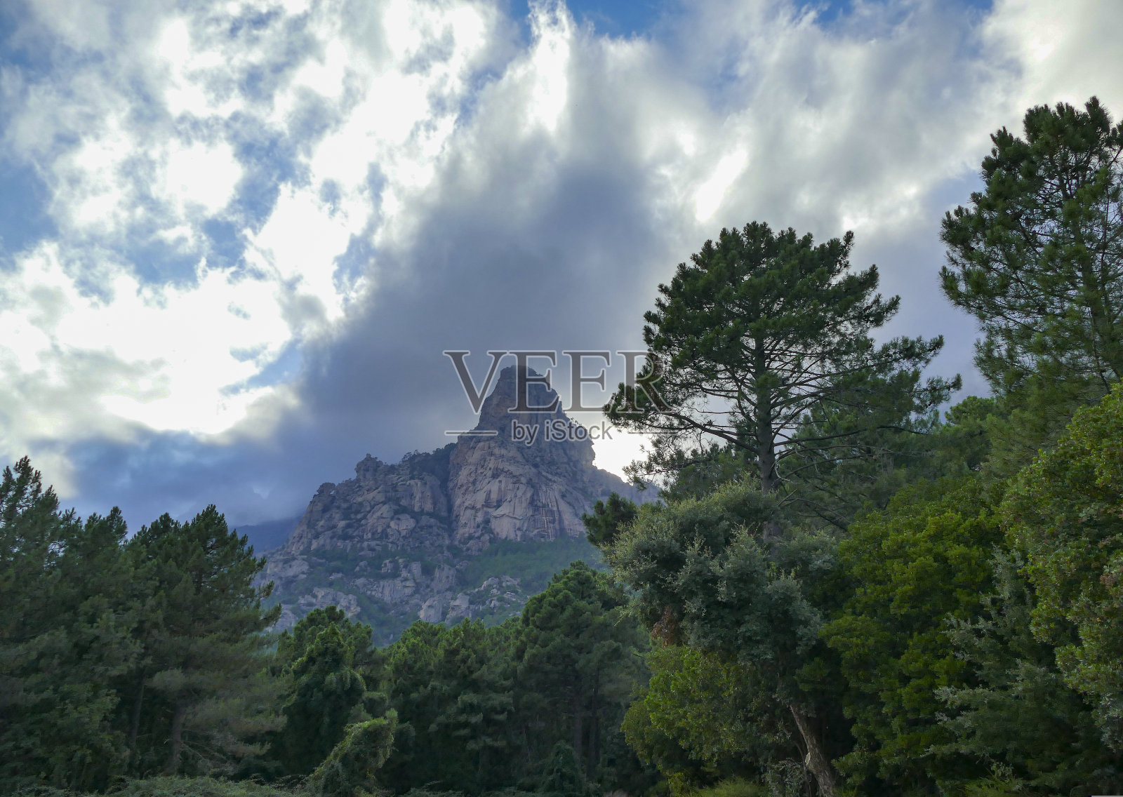 法国科西嘉岛的树木和山脉照片摄影图片