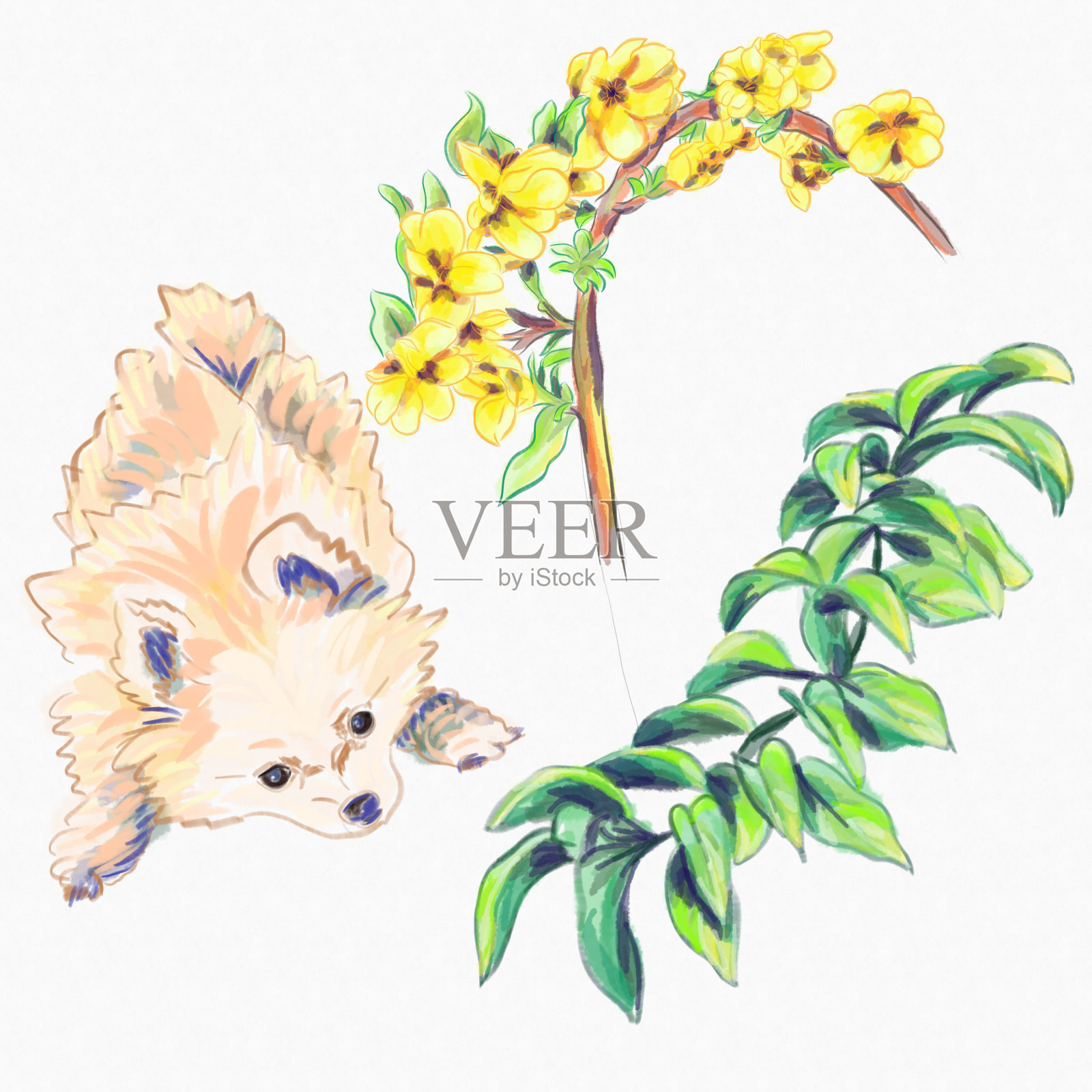 水彩贺卡元素小狗和早午餐插画图片素材