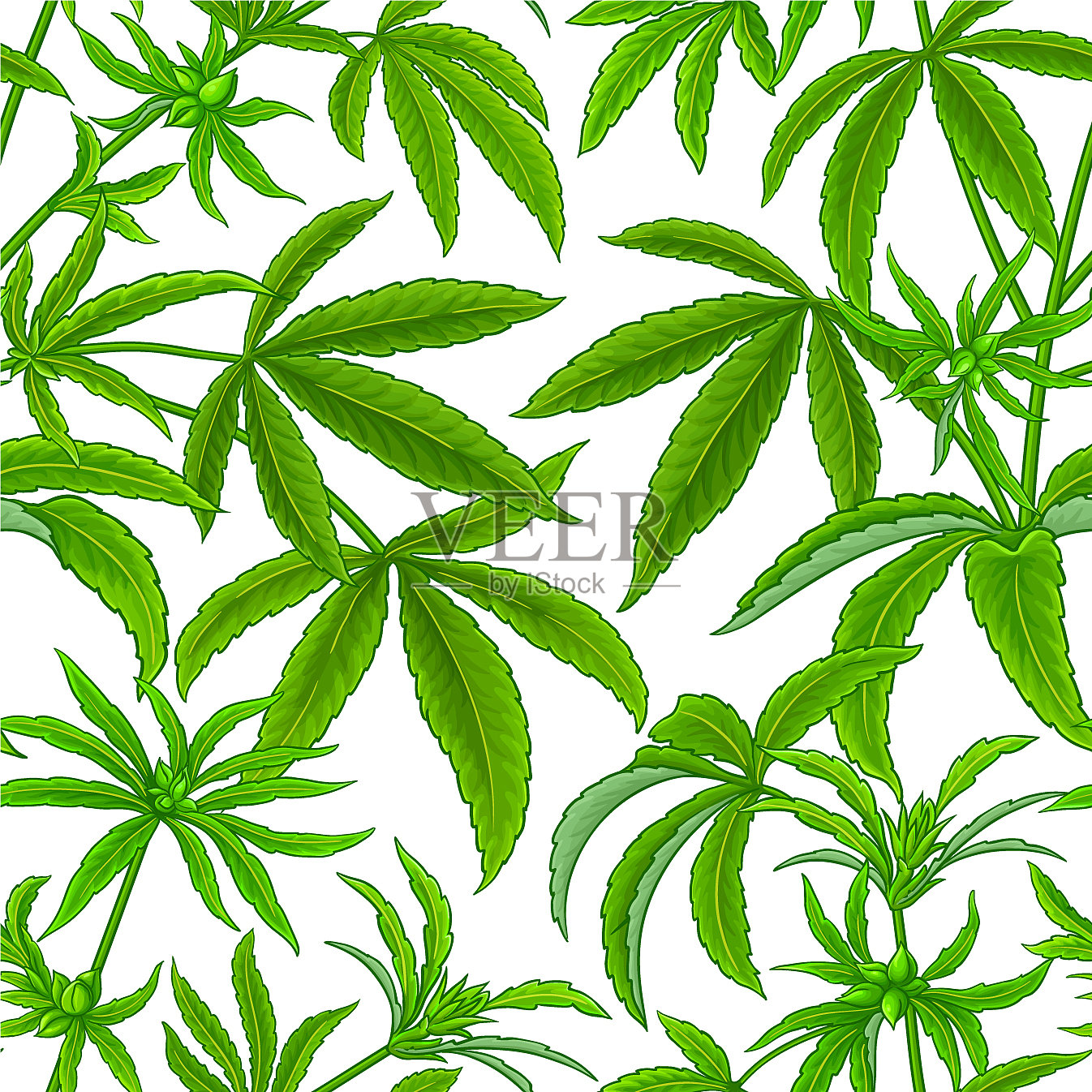 白色背景上的大麻植物图案插画图片素材