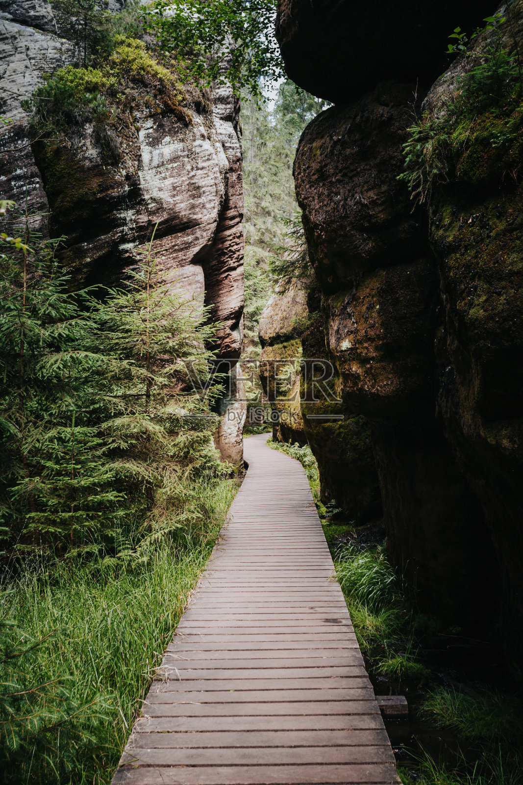 Adrspach岩镇照片摄影图片