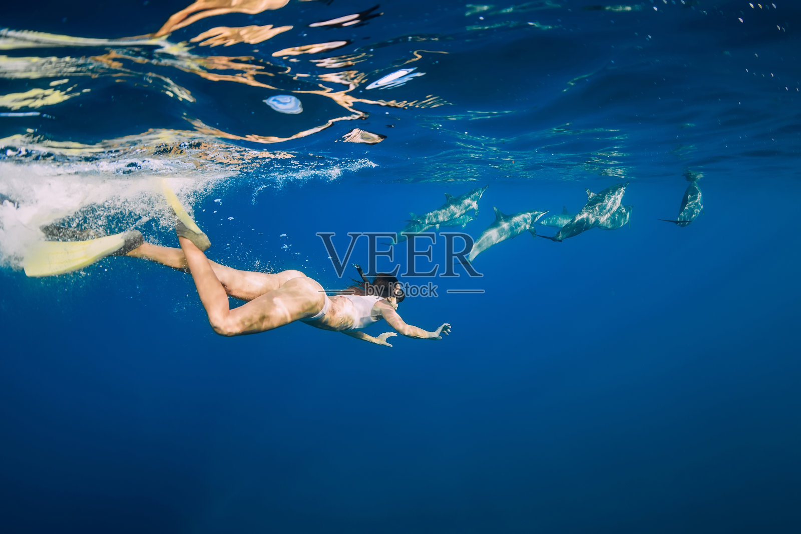 年轻女子和海豚在蓝色的海洋里浮潜。毛里求斯照片摄影图片