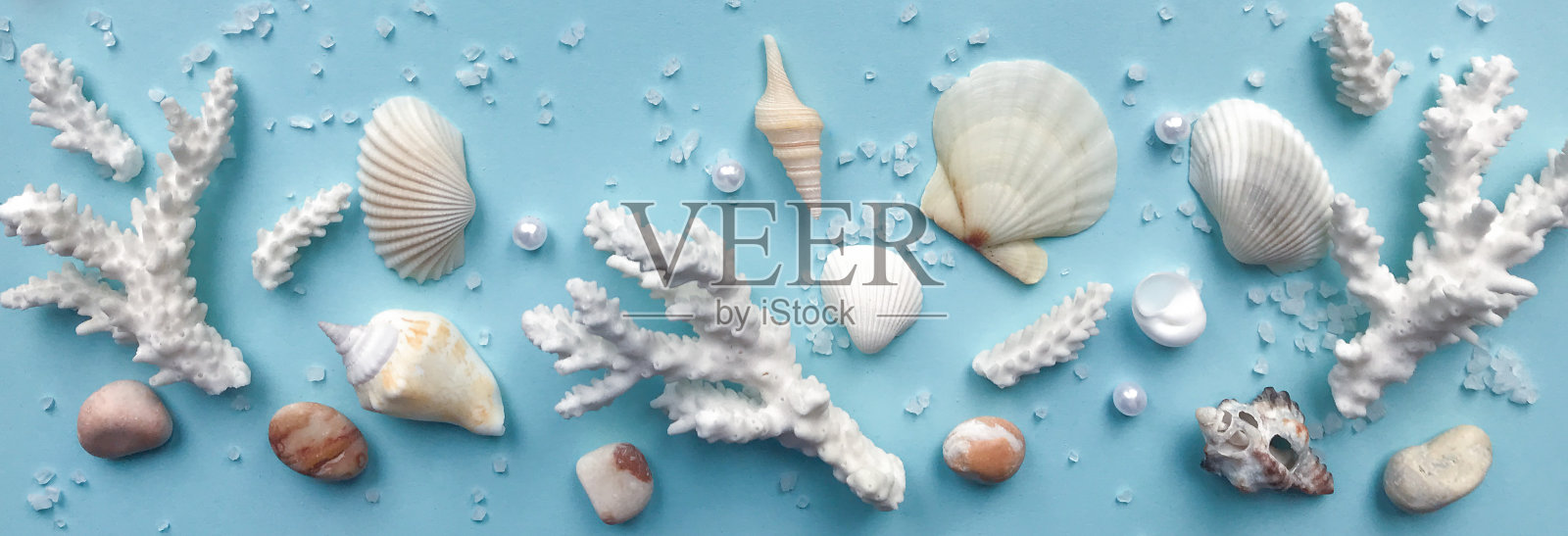 贝壳，鹅卵石，浅蓝色背景上的珊瑚树。横幅。热带假日的概念照片摄影图片