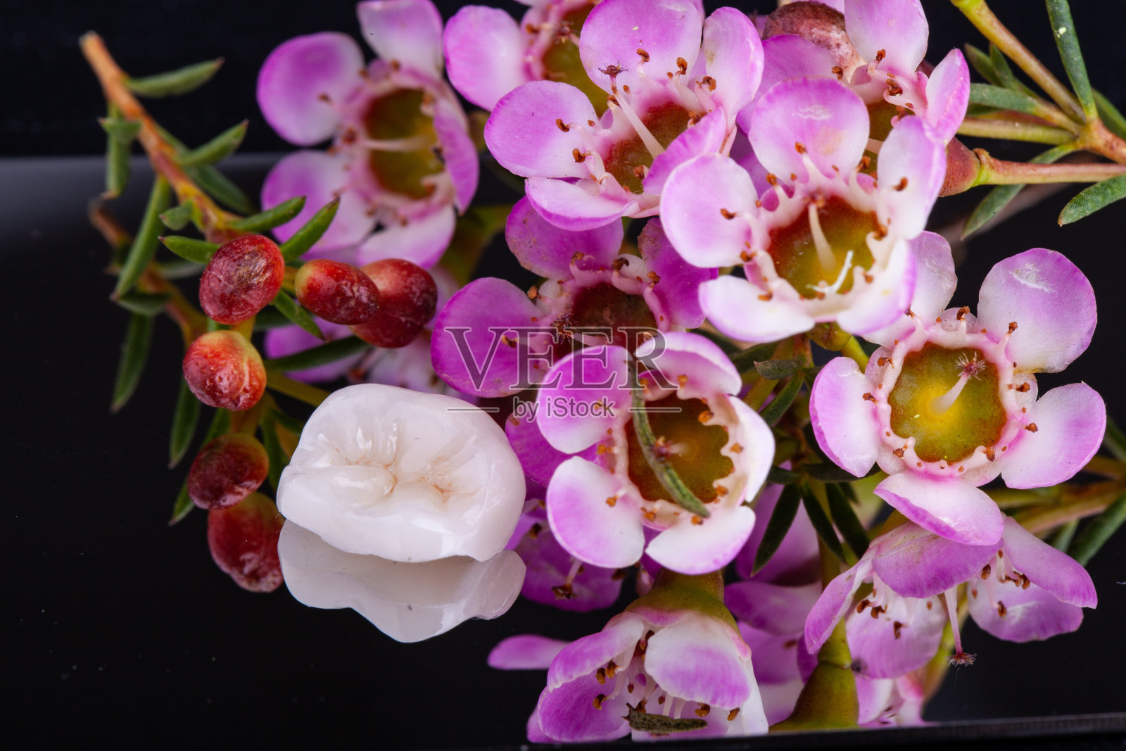 陶瓷牙和花照片摄影图片