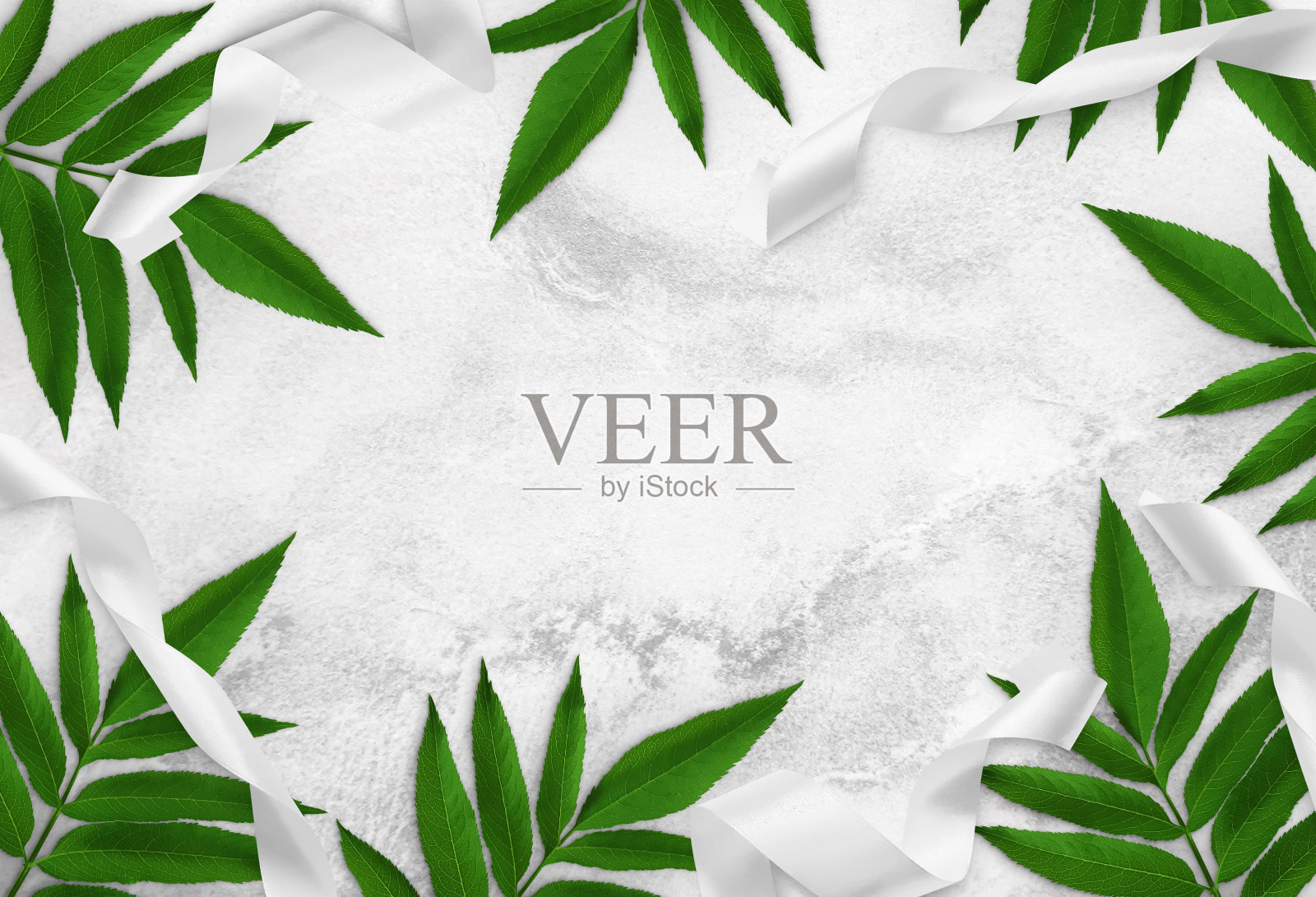 绿色的叶子，白色的丝带，白色的混凝土背景。庆祝生日、情人节、妇女节的广告新鲜板、海报模型。俯视图，关闭，复制空间照片摄影图片