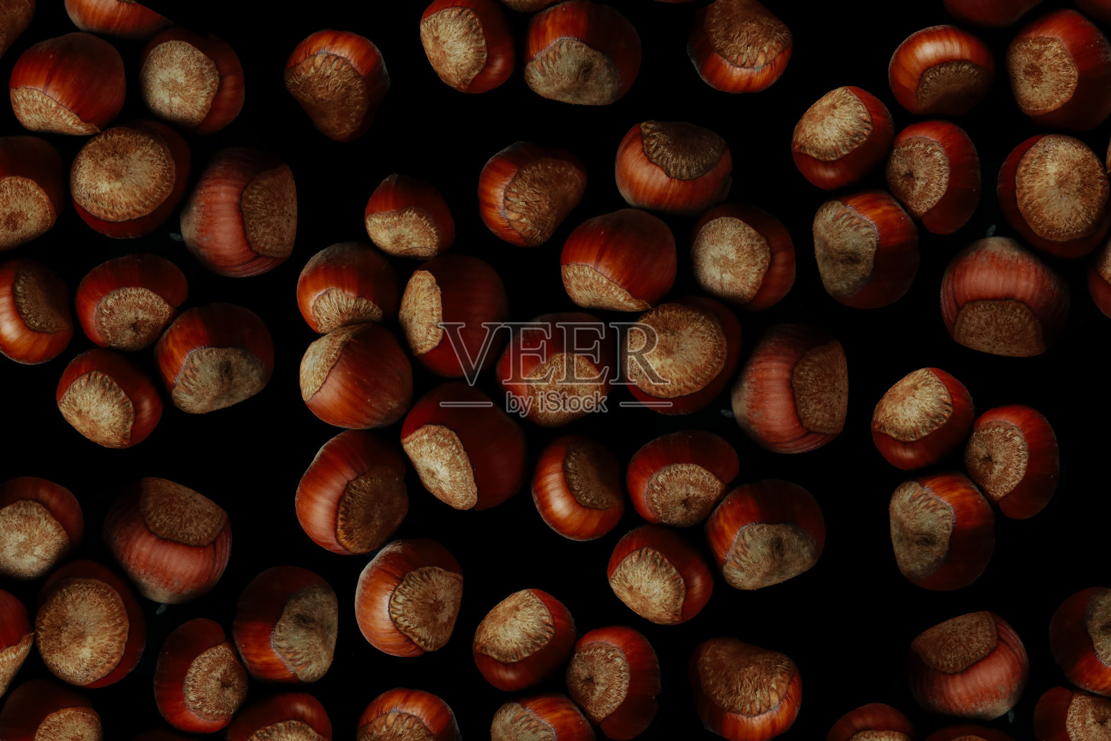 分离的榛子照片摄影图片