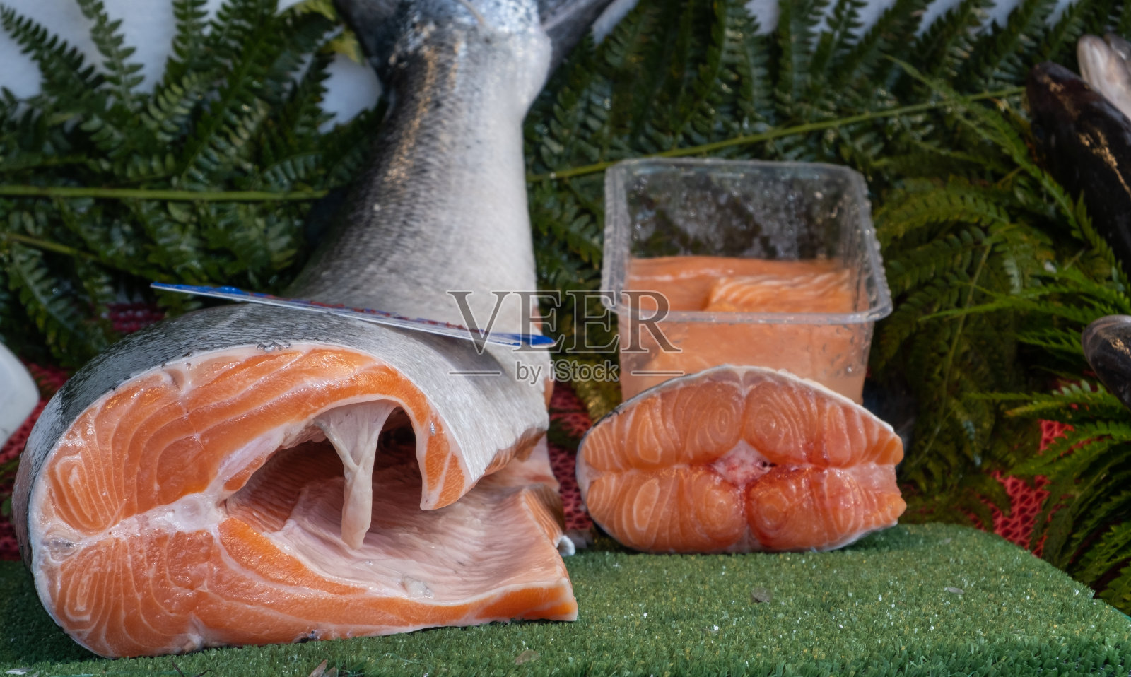 大马哈鱼鱼照片摄影图片