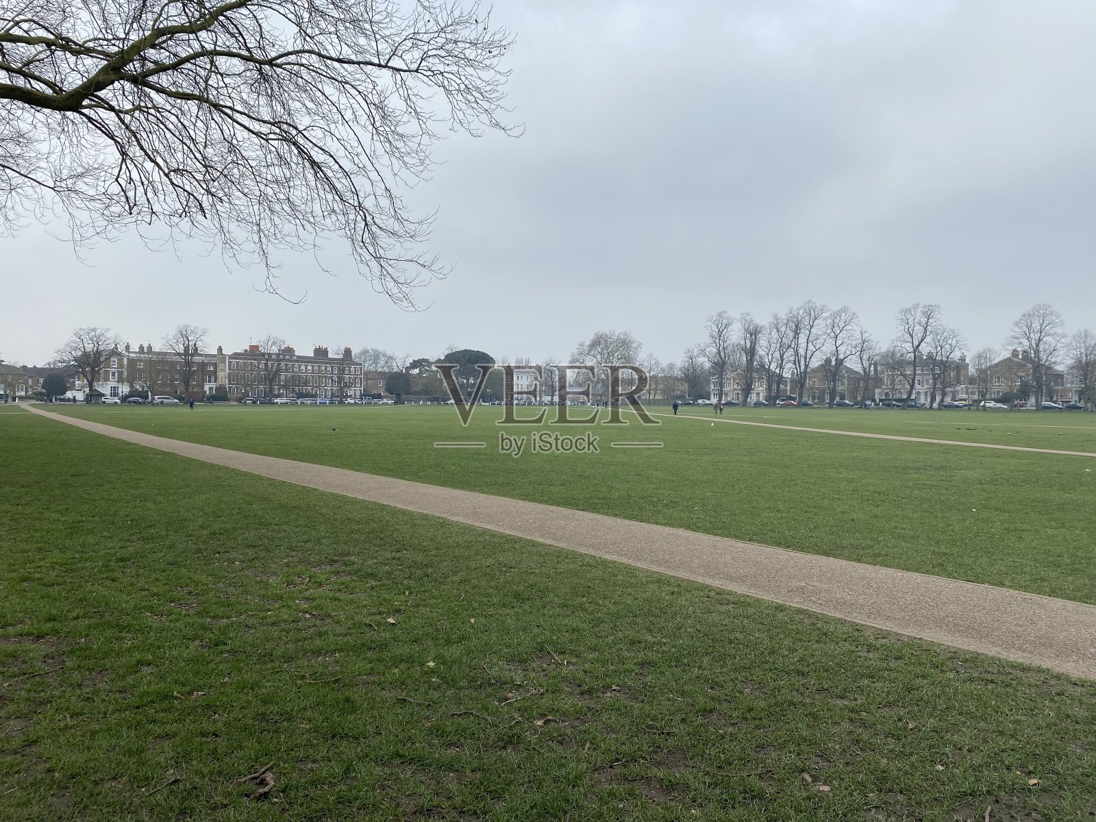 灰色的里士满照片摄影图片