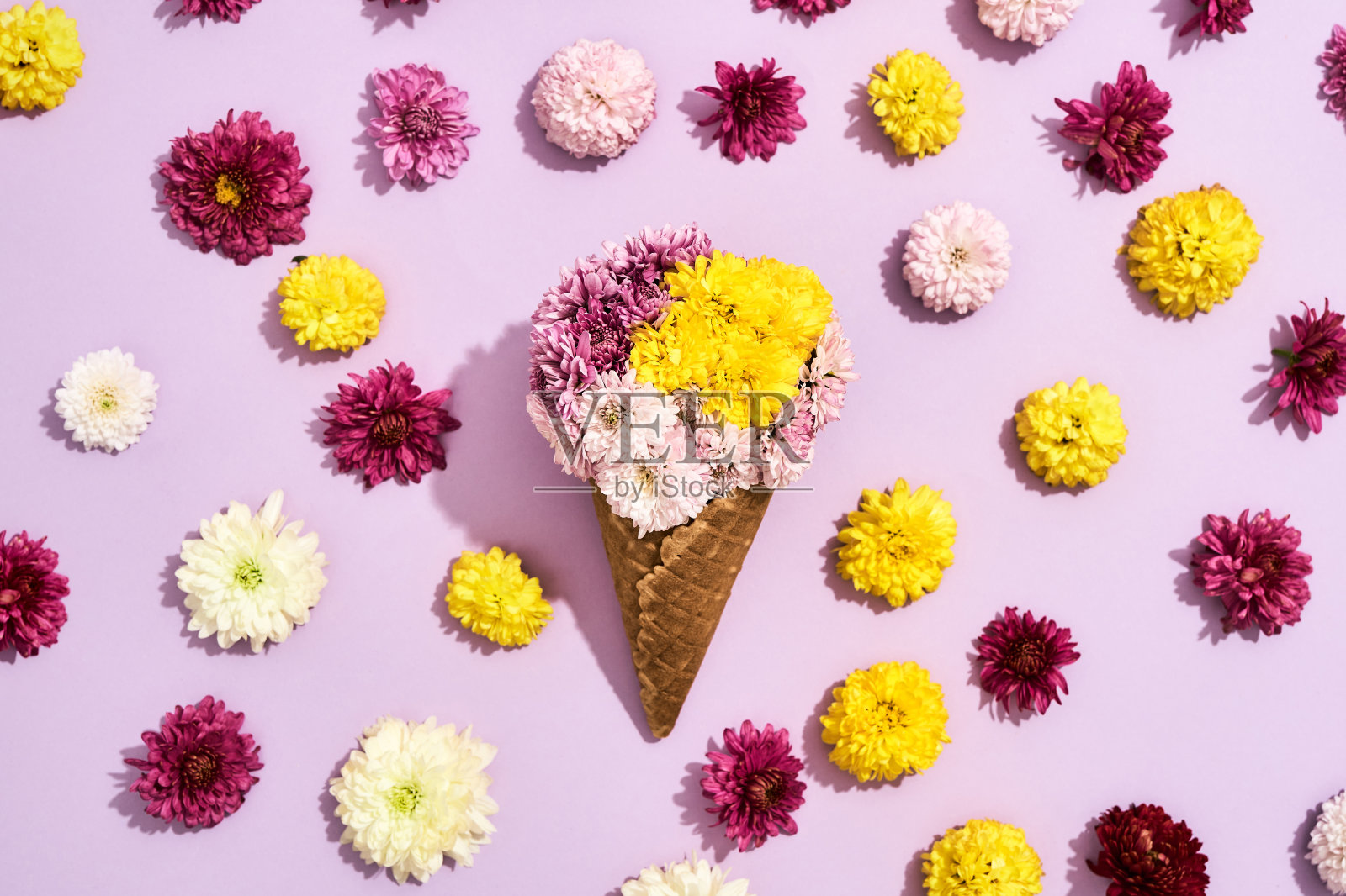 3月8日春假花束照片摄影图片