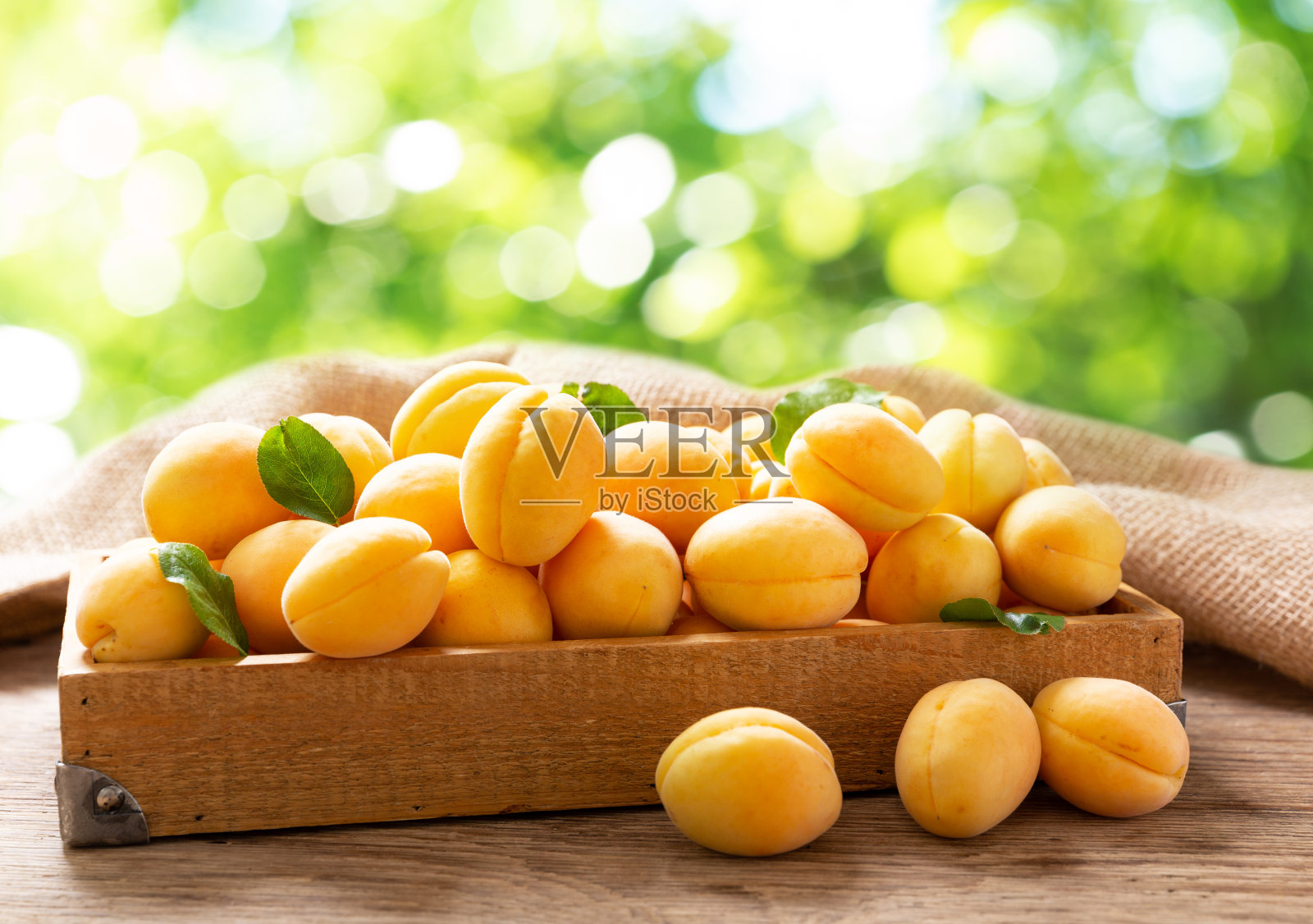 木盒子里的新鲜杏照片摄影图片