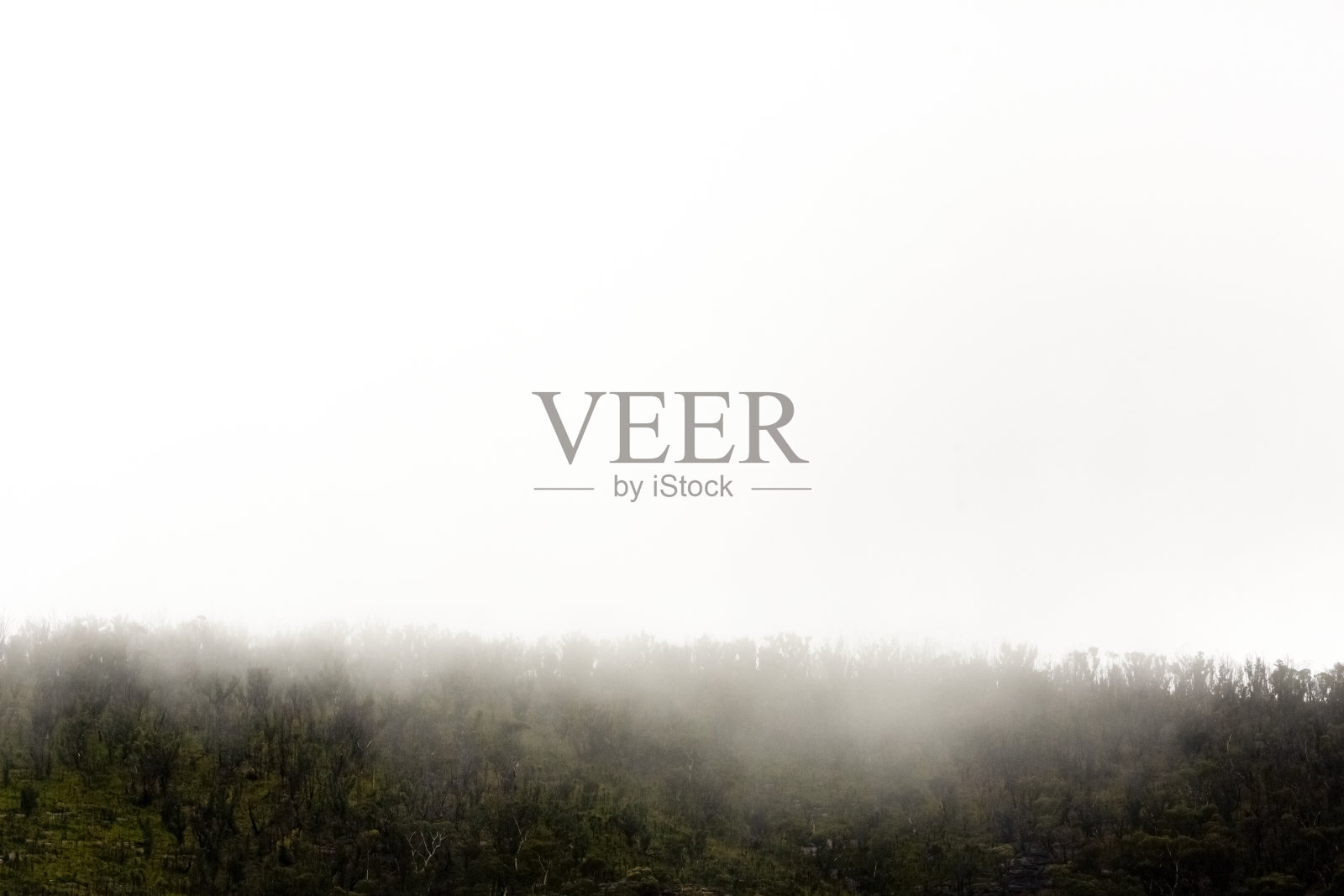 雾山，美丽的自然背景与复制空间照片摄影图片