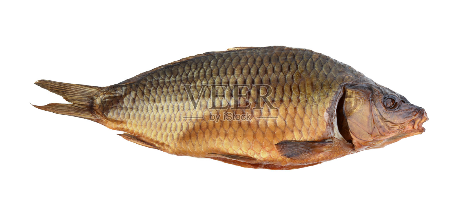 烟熏鱼孤立在白色。照片摄影图片