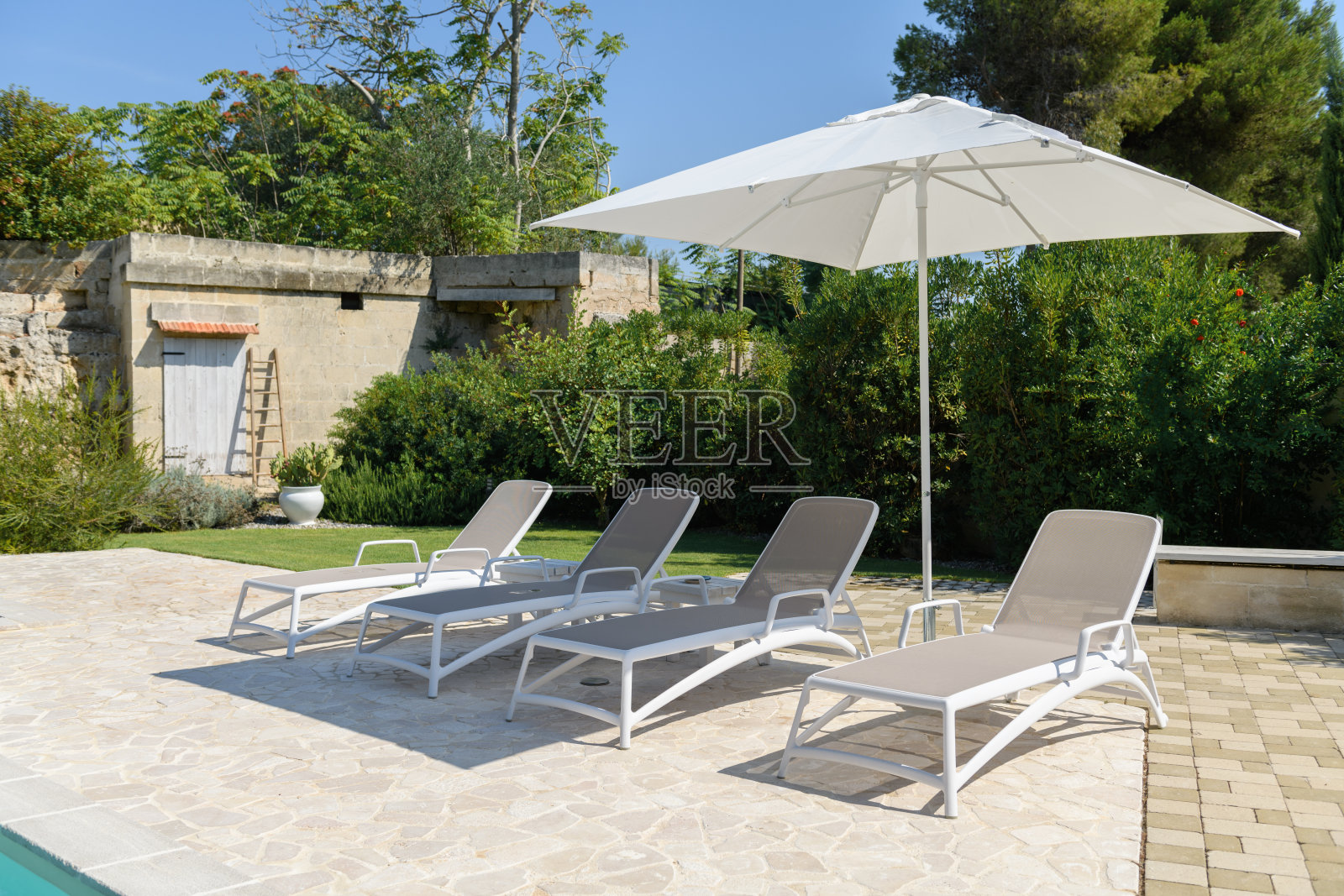 阳光明媚的日子里，院子里的太阳床照片摄影图片