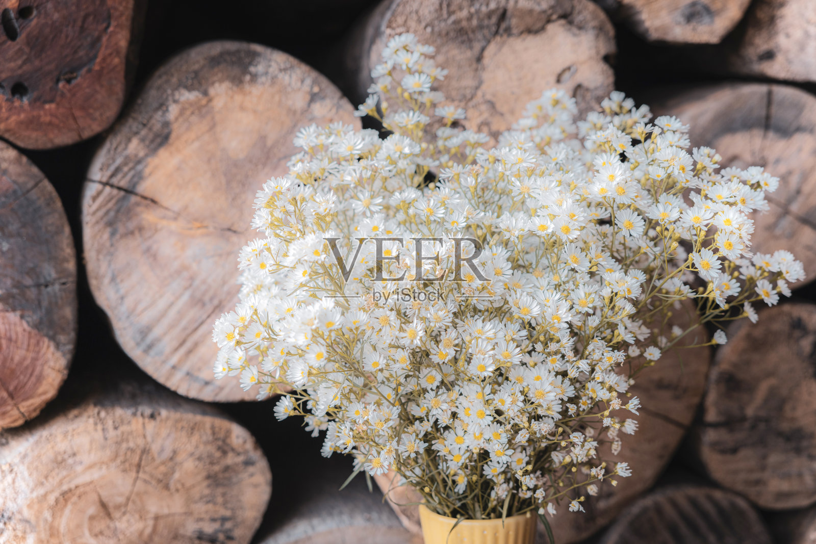 标题:一束白色和黄色的小花插在花瓶上，背景是原木照片摄影图片