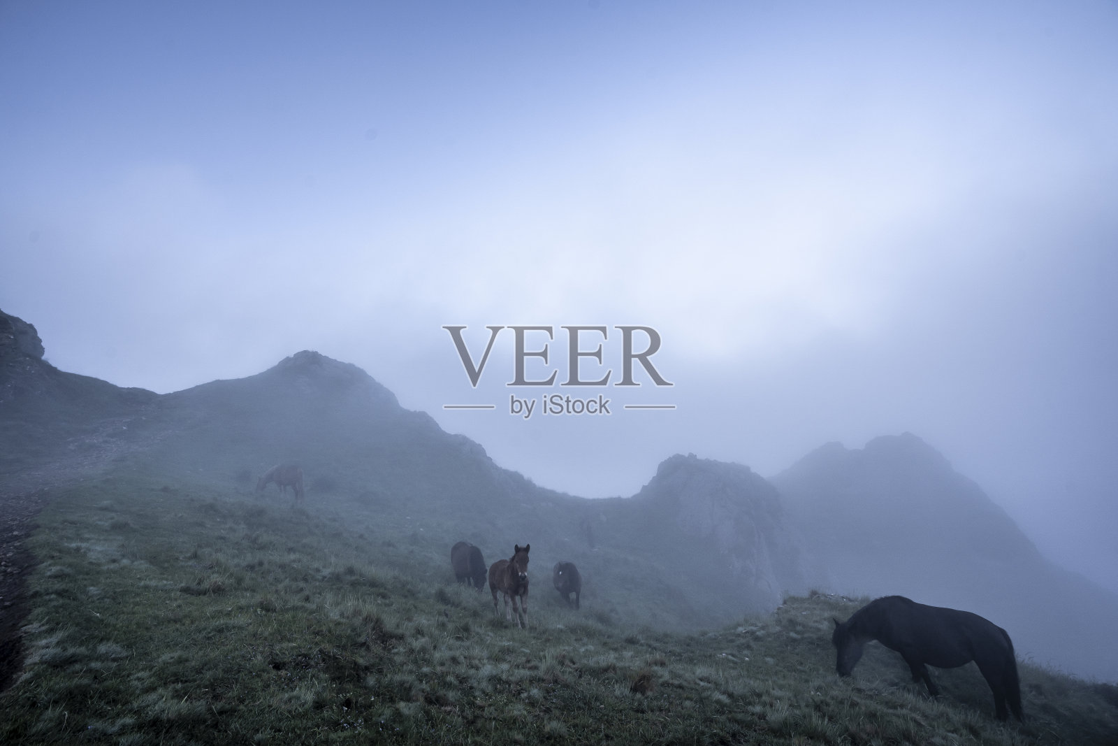 山顶有很多雾Peñas德阿亚山或也被称为Aiako Harria, Oiartzun。巴斯克地区的吉布斯科亚省照片摄影图片