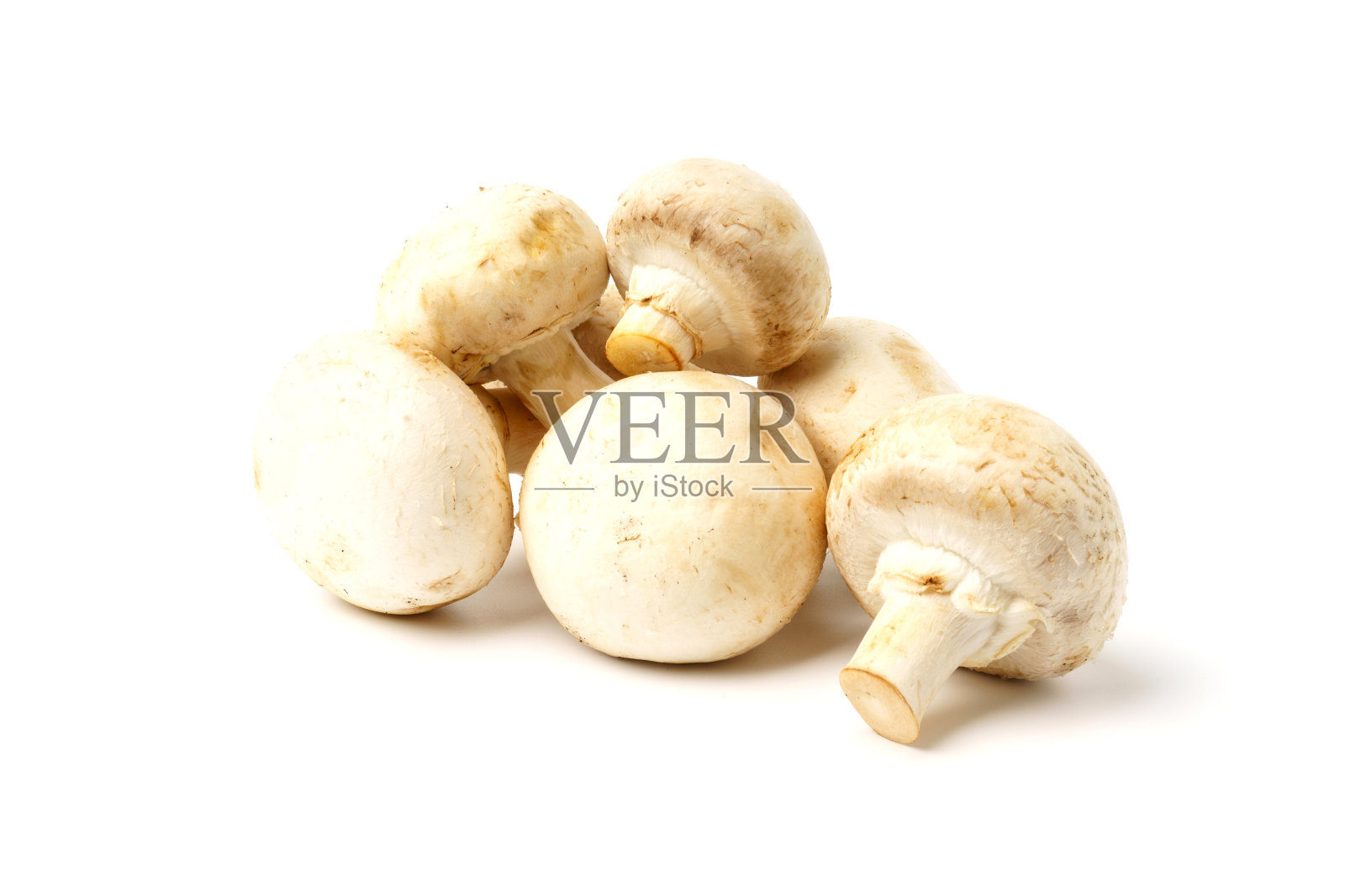 蘑菇。鲜蘑菇孤立在白色上照片摄影图片