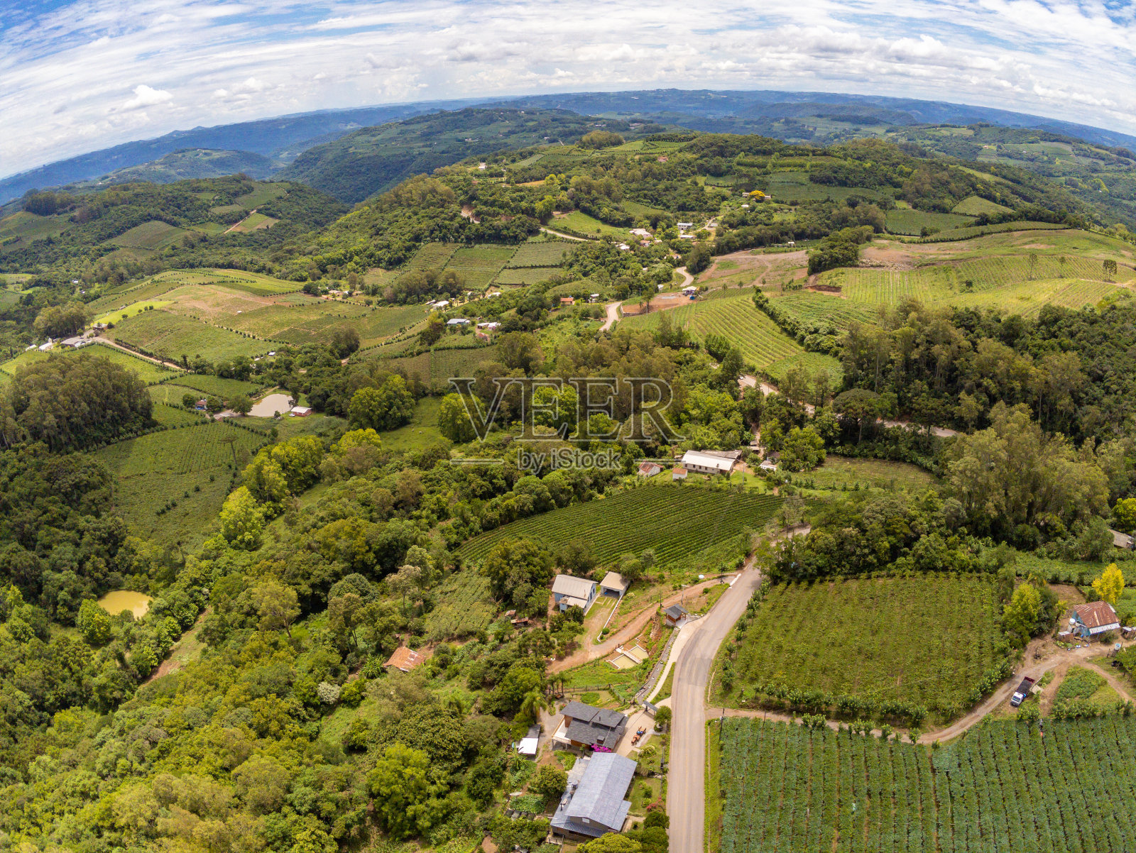 农场，葡萄园和山谷中的道路照片摄影图片