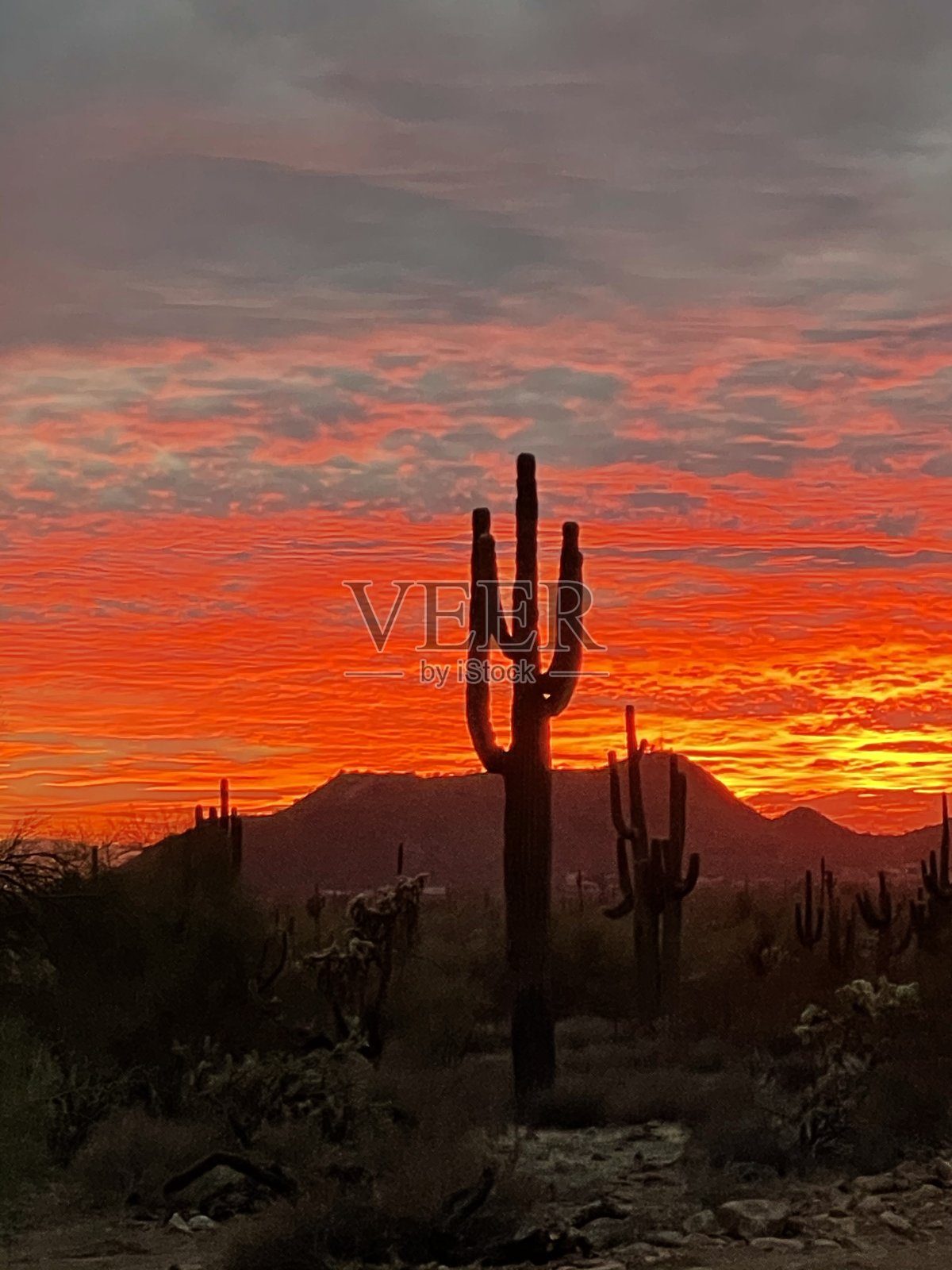 西南日落照片摄影图片