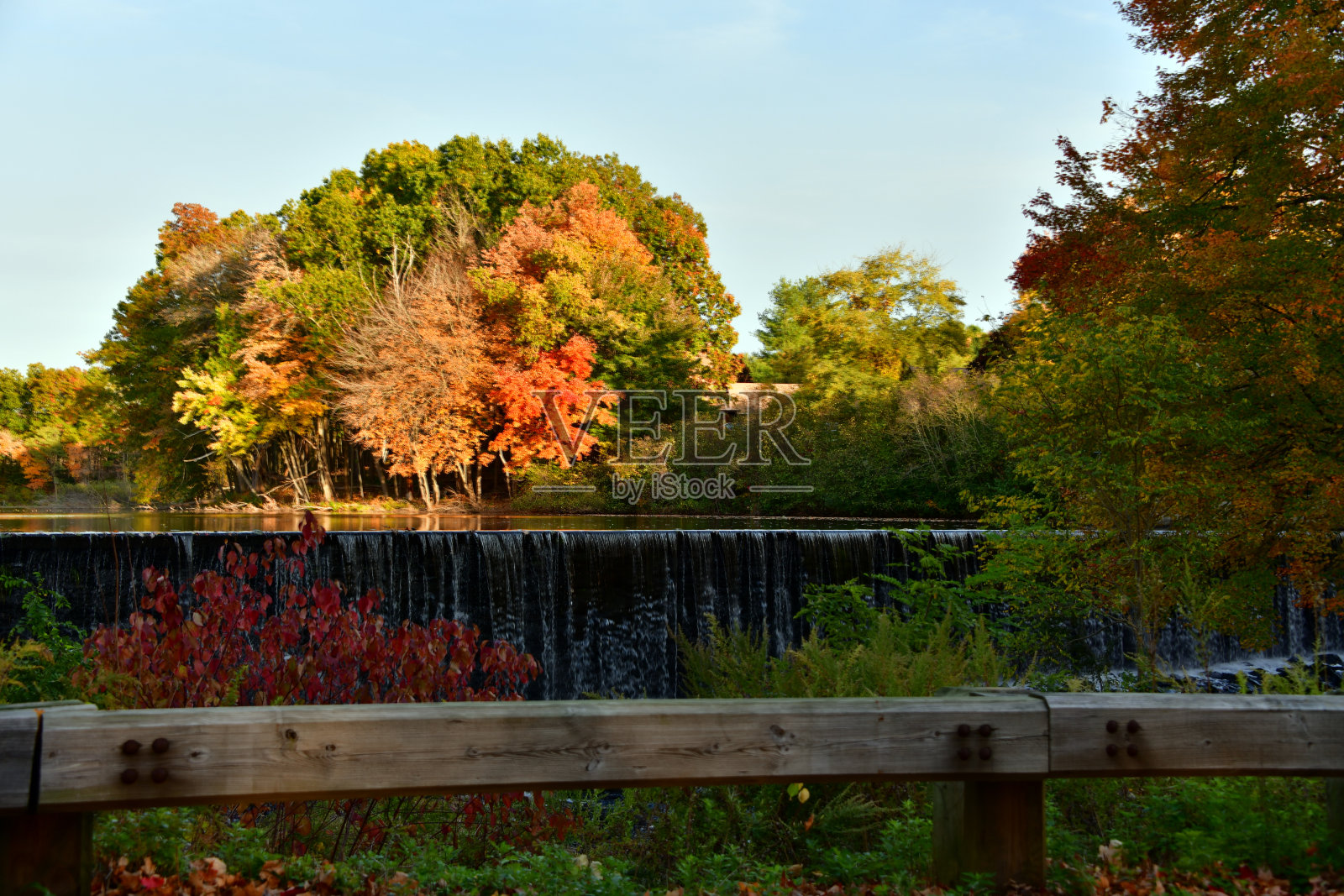 树叶字段照片摄影图片