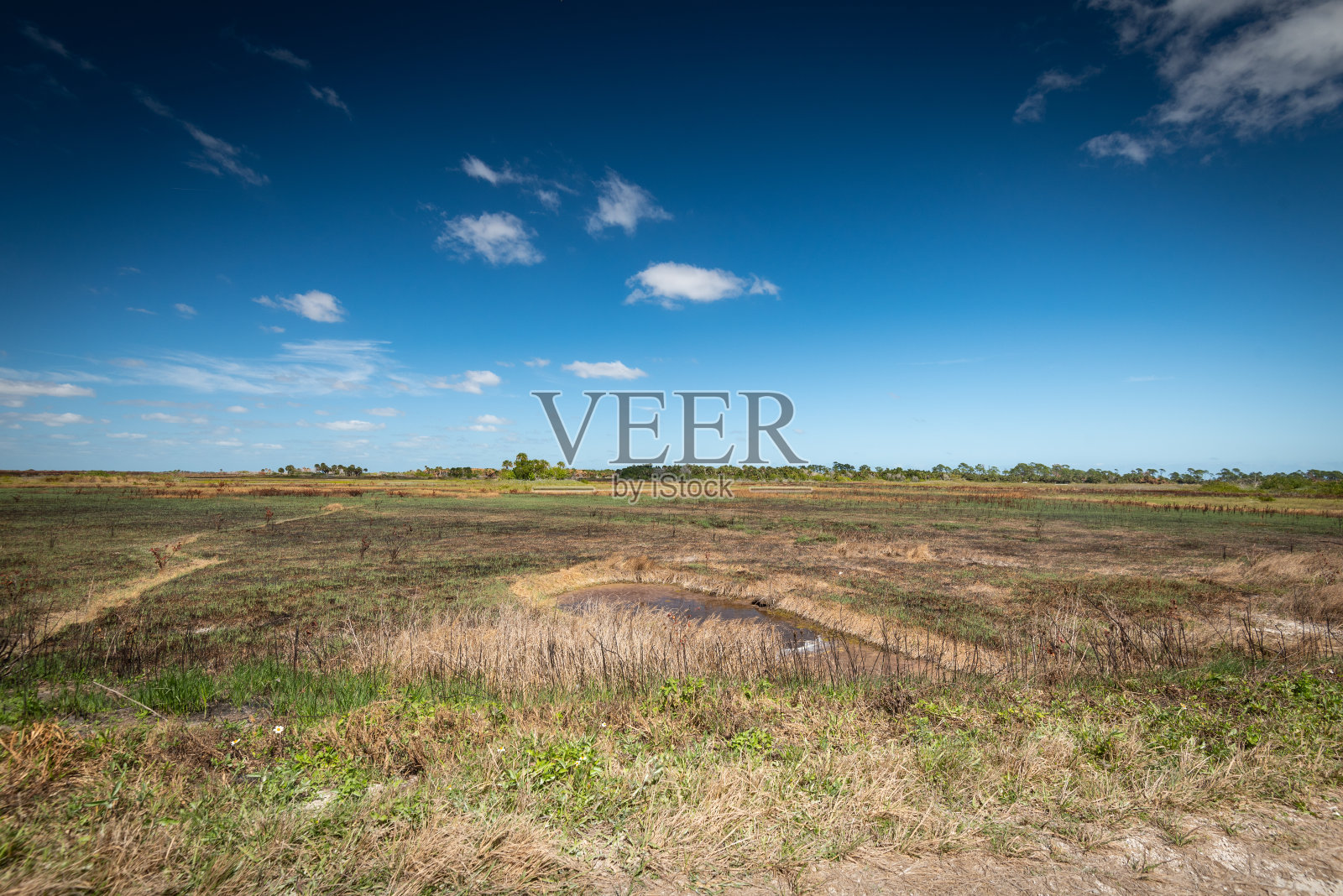 场与水照片摄影图片