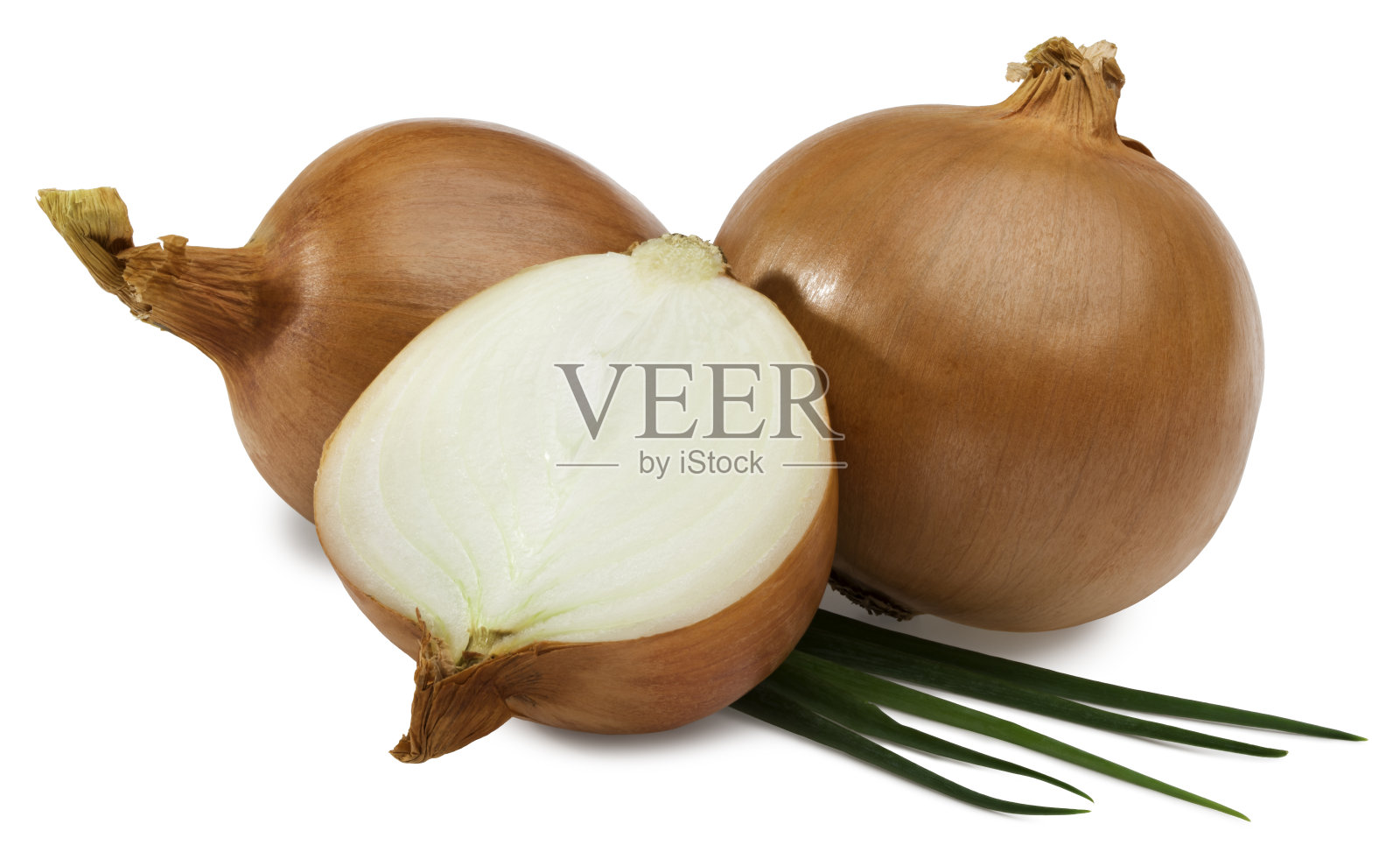 洋葱切片和绿洋葱分离在白色背景上。全景深。剪切路径照片摄影图片