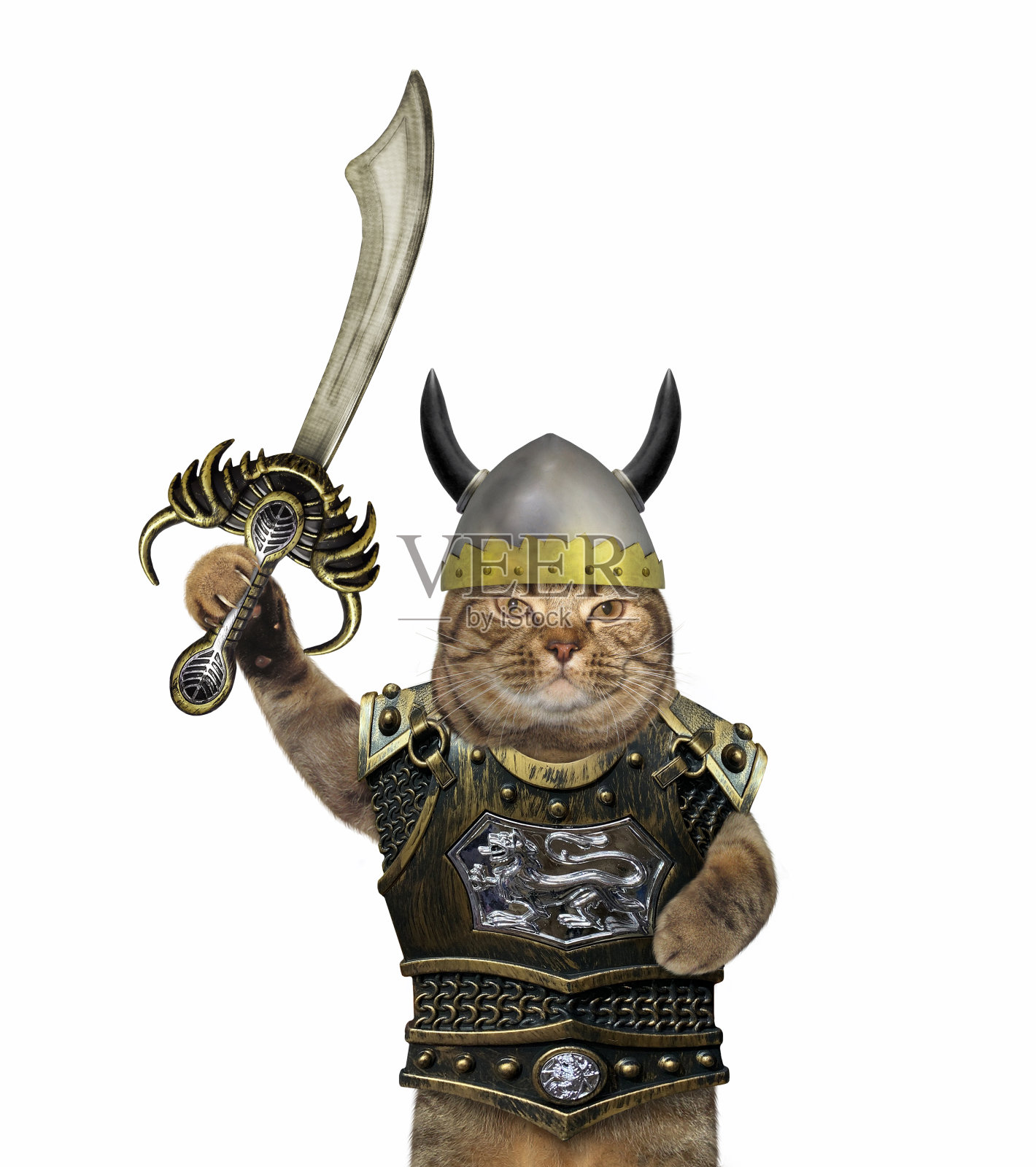 猫维京持有弯剑照片摄影图片