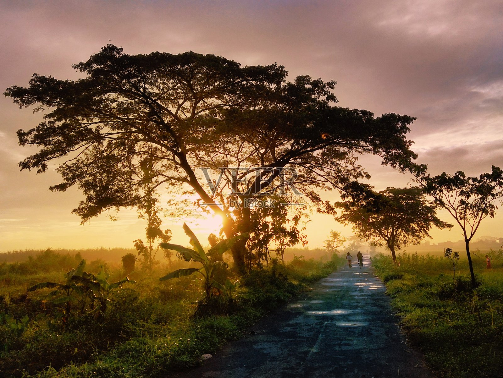 宁静的照片摄影图片