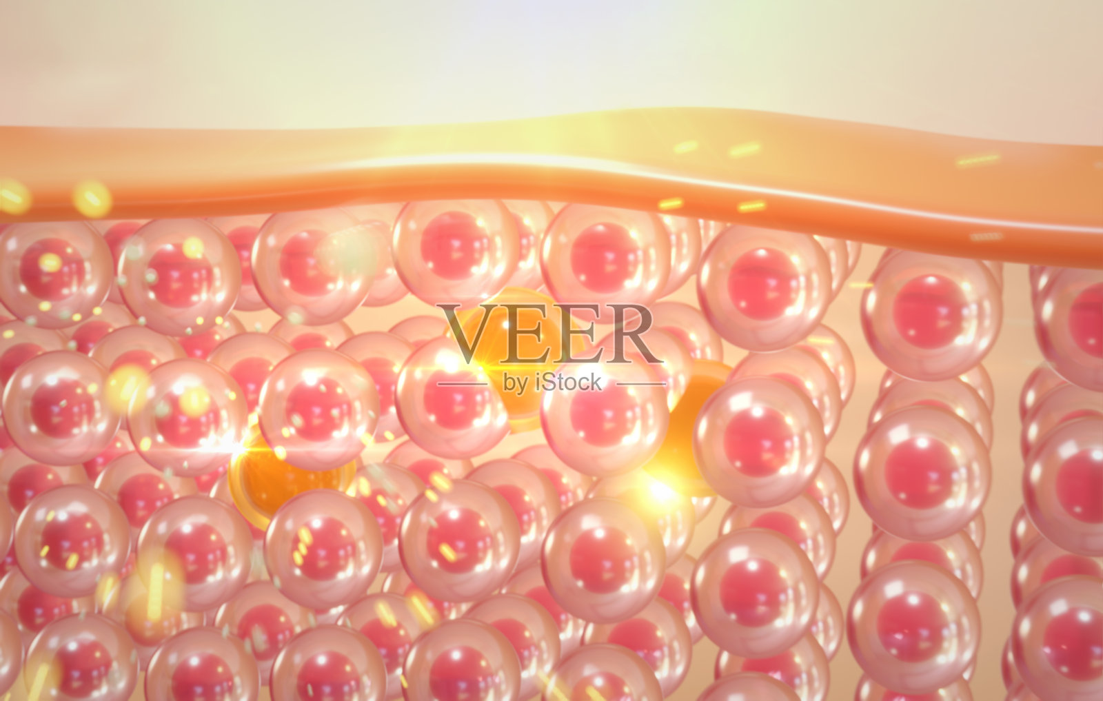 血清通过皮肤层，减少皮肤松弛的皮肤细胞。3 d渲染。照片摄影图片