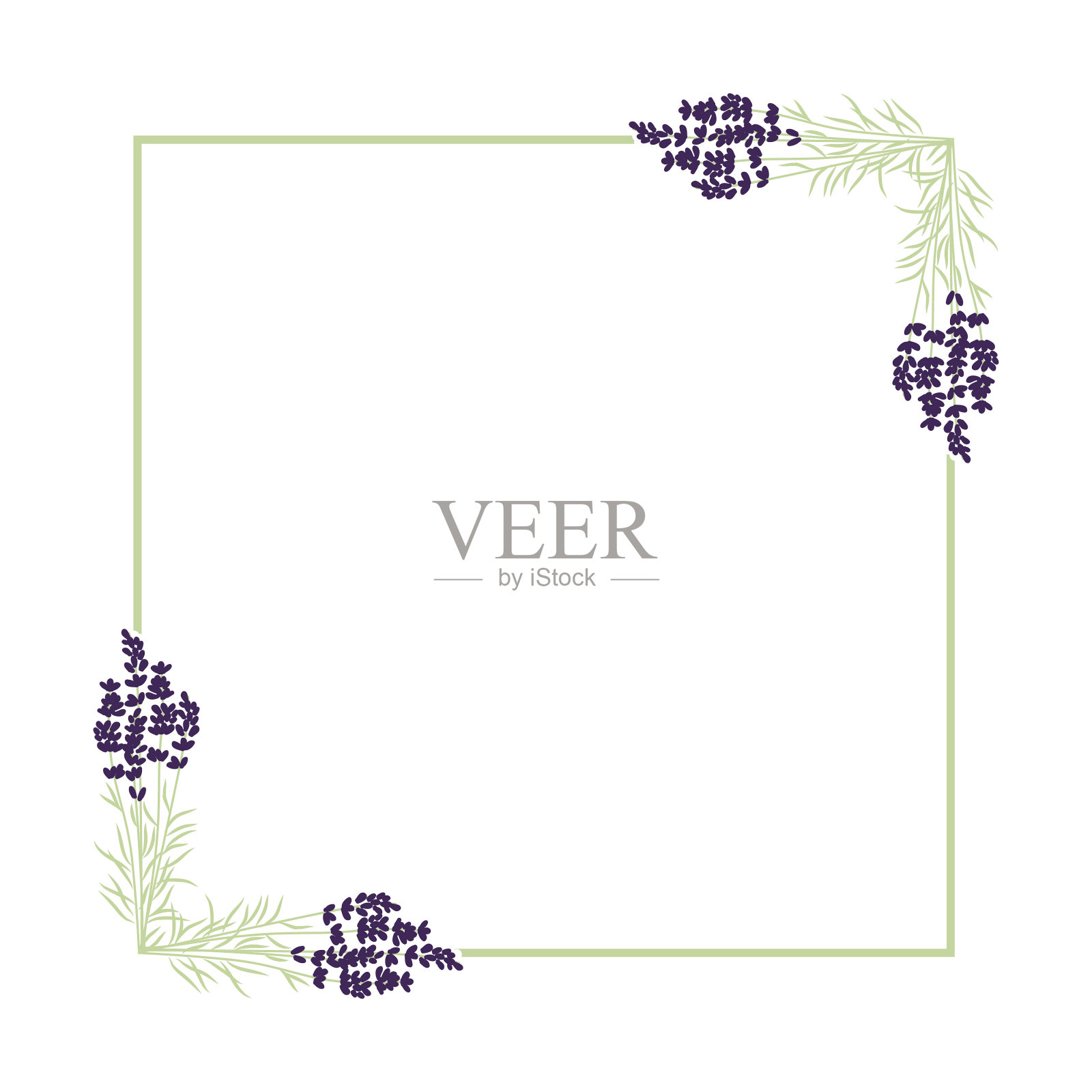 薰衣草插画图片素材