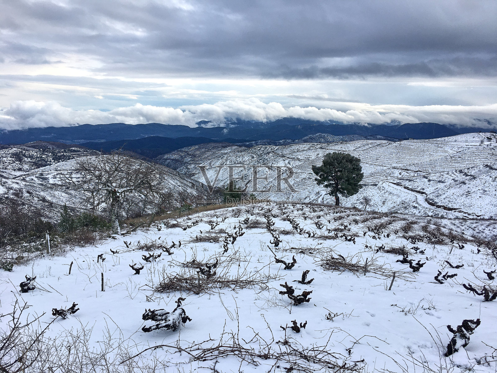 山上美丽的冬季景色照片摄影图片
