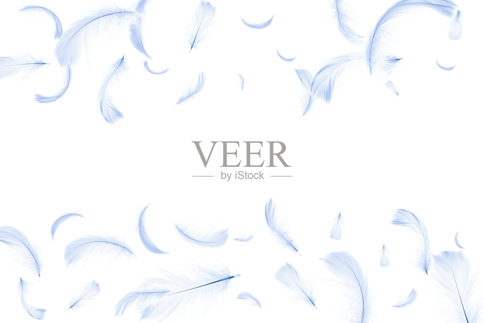 羽毛抽象。大自然鸟类羽毛纹理特写落在白色的背景上。艺术形象优雅，表现自然的脆弱。照片摄影图片