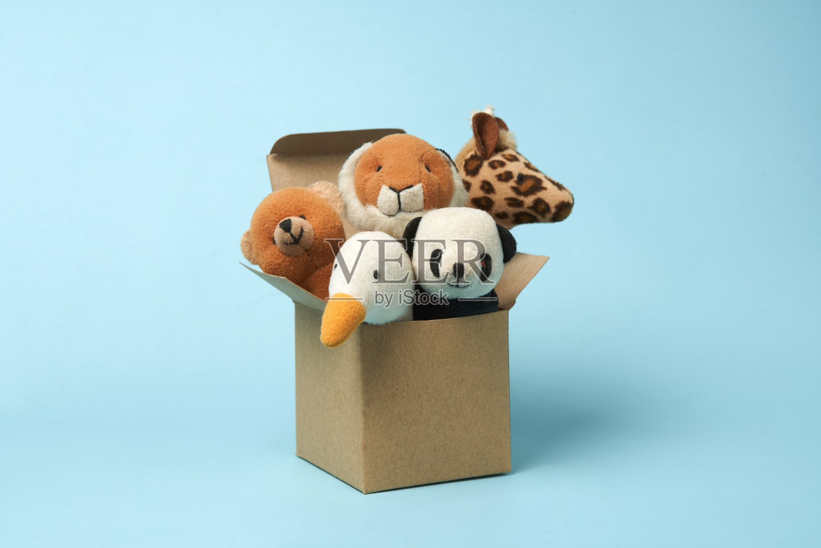 五个手指木偶照片摄影图片