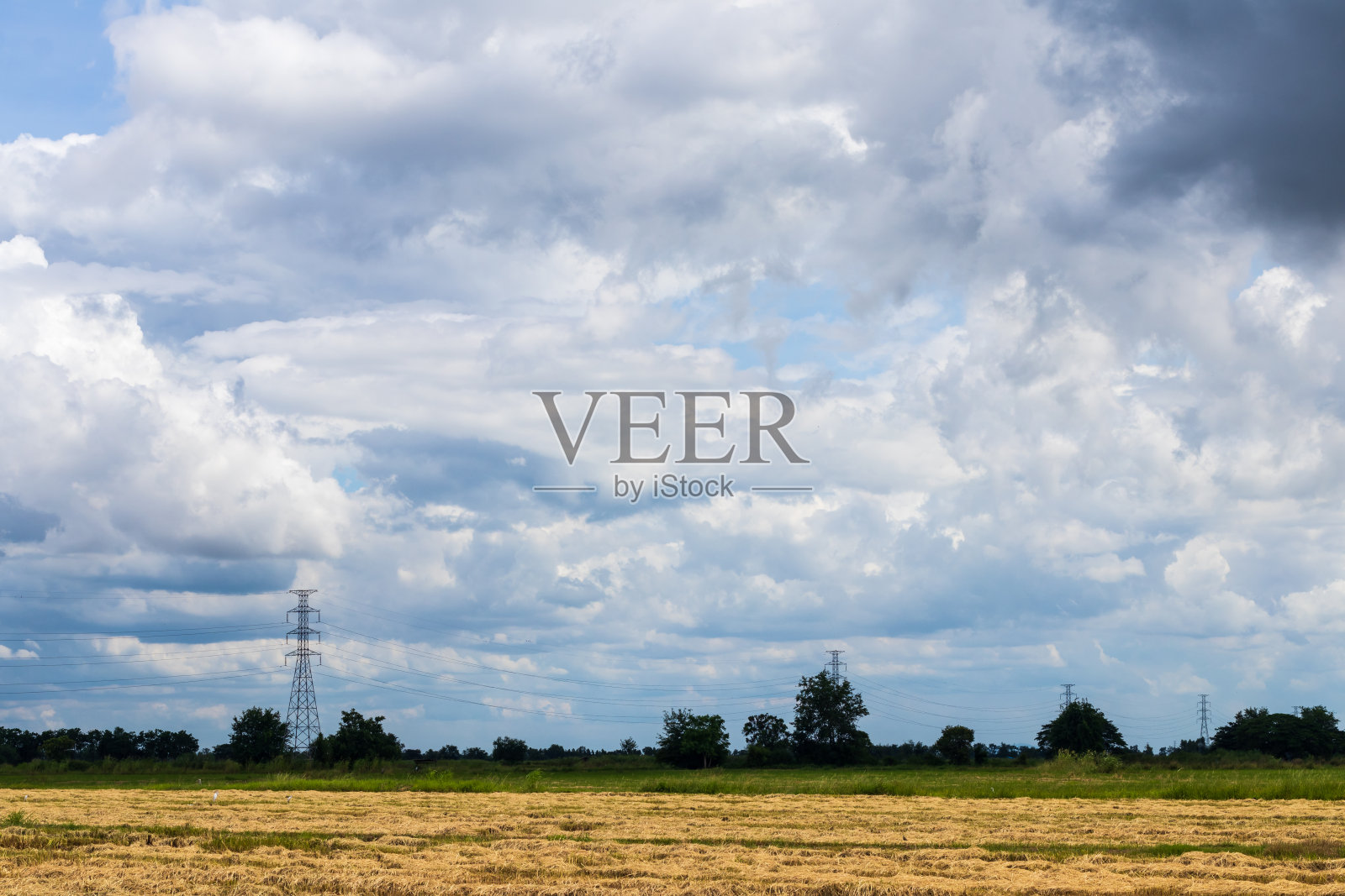 高压电杆附近的稻秆残茬。照片摄影图片