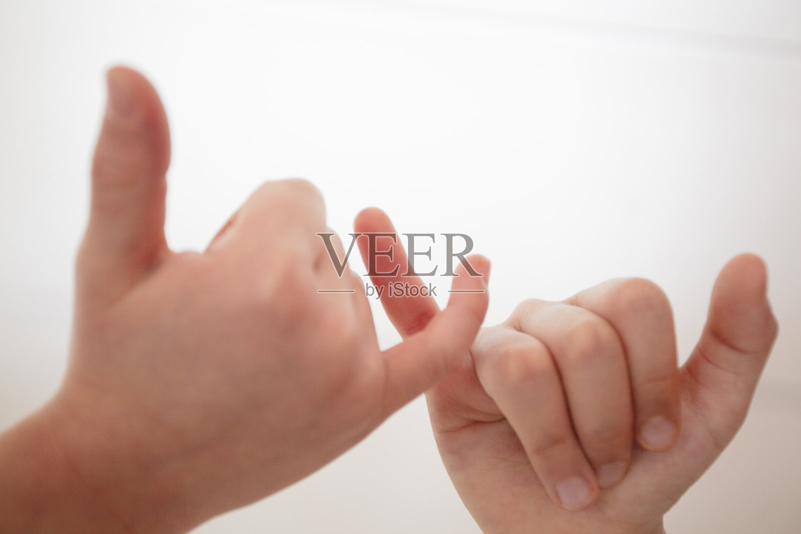 承诺照片摄影图片