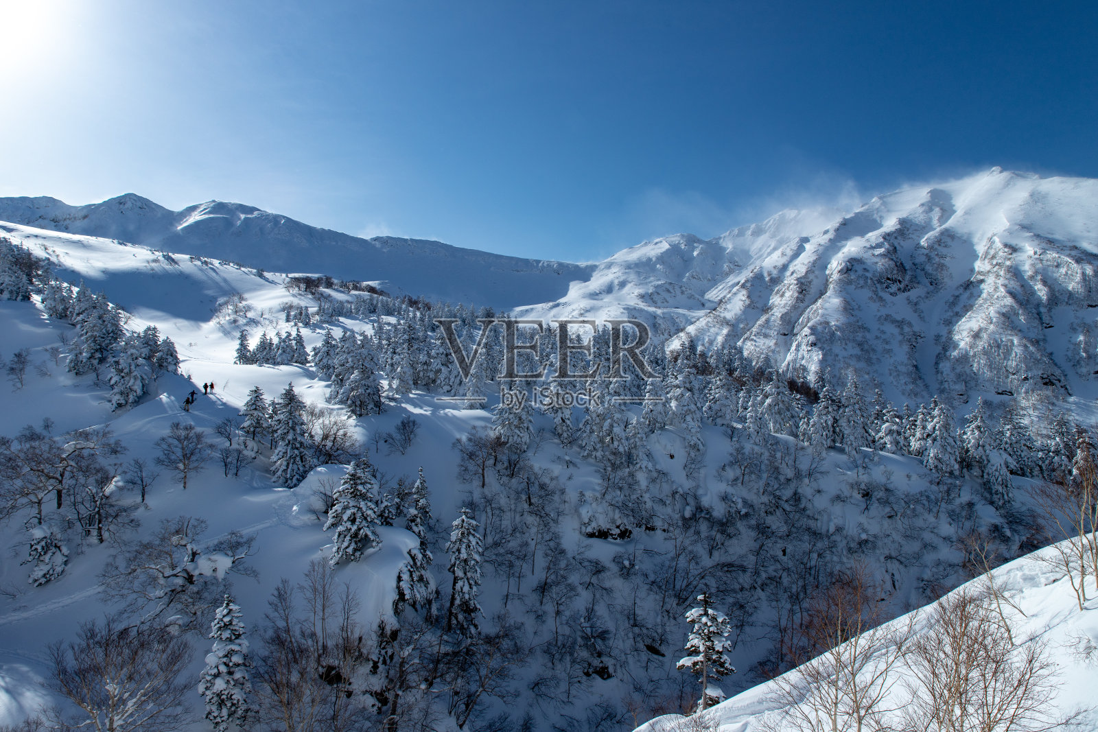 北海道冬季十胜山脉的景色。照片摄影图片