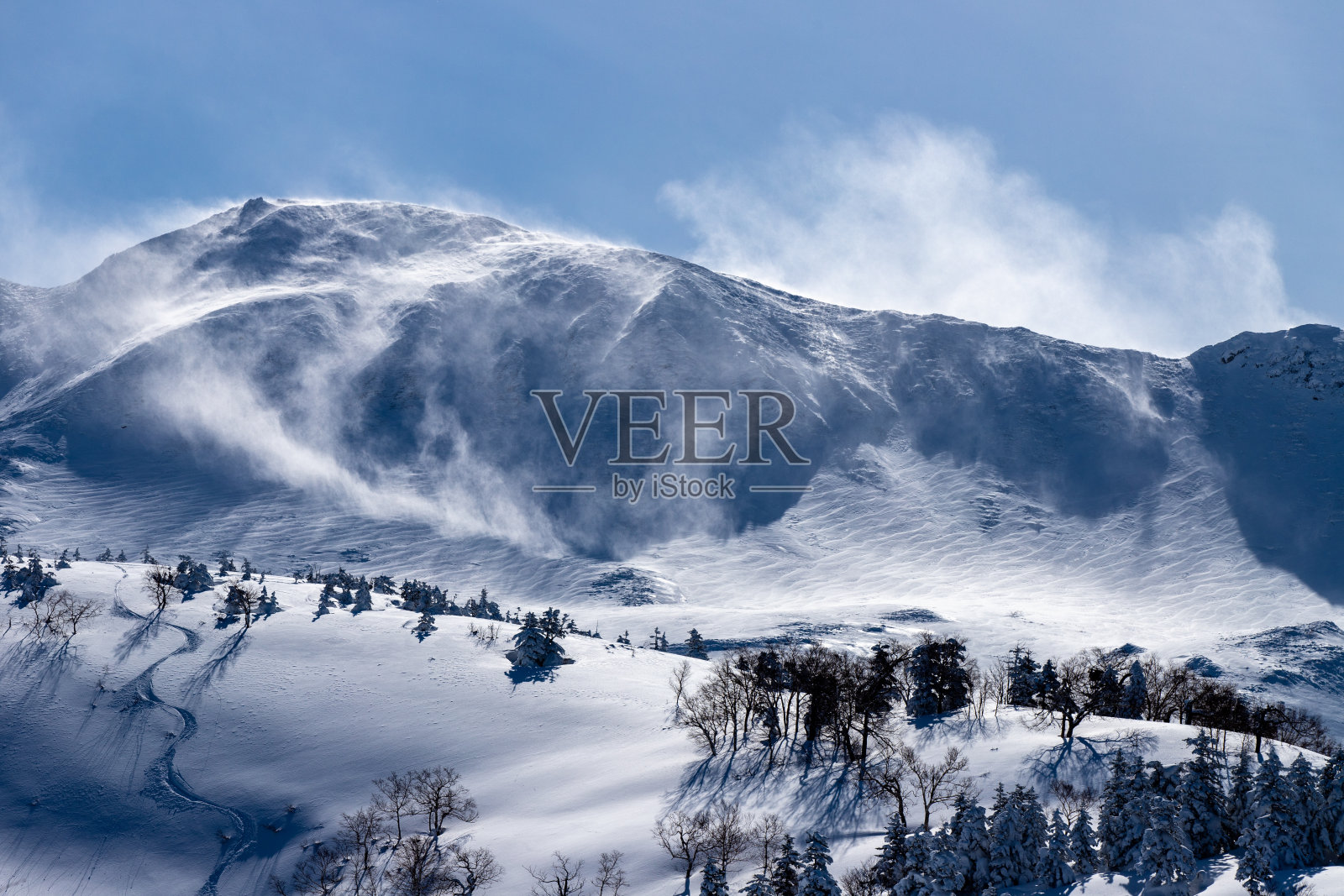北海道冬季十胜山脉的景色。照片摄影图片