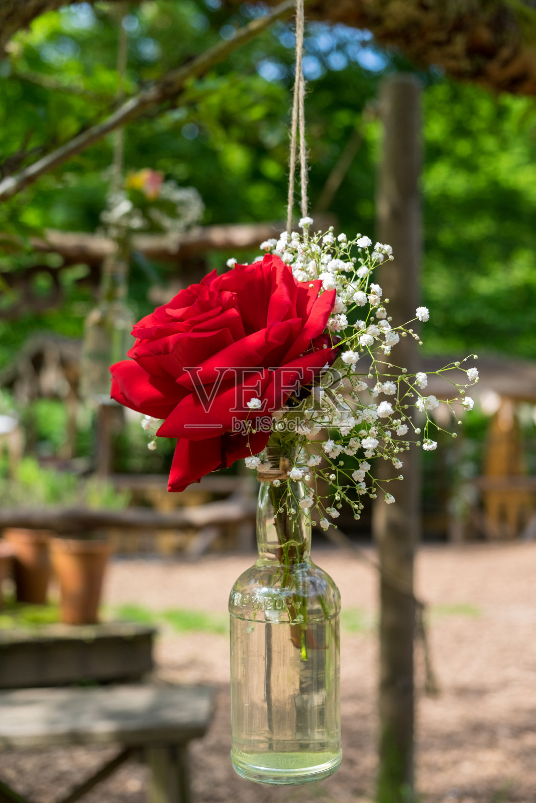 花瓶里的红玫瑰照片摄影图片