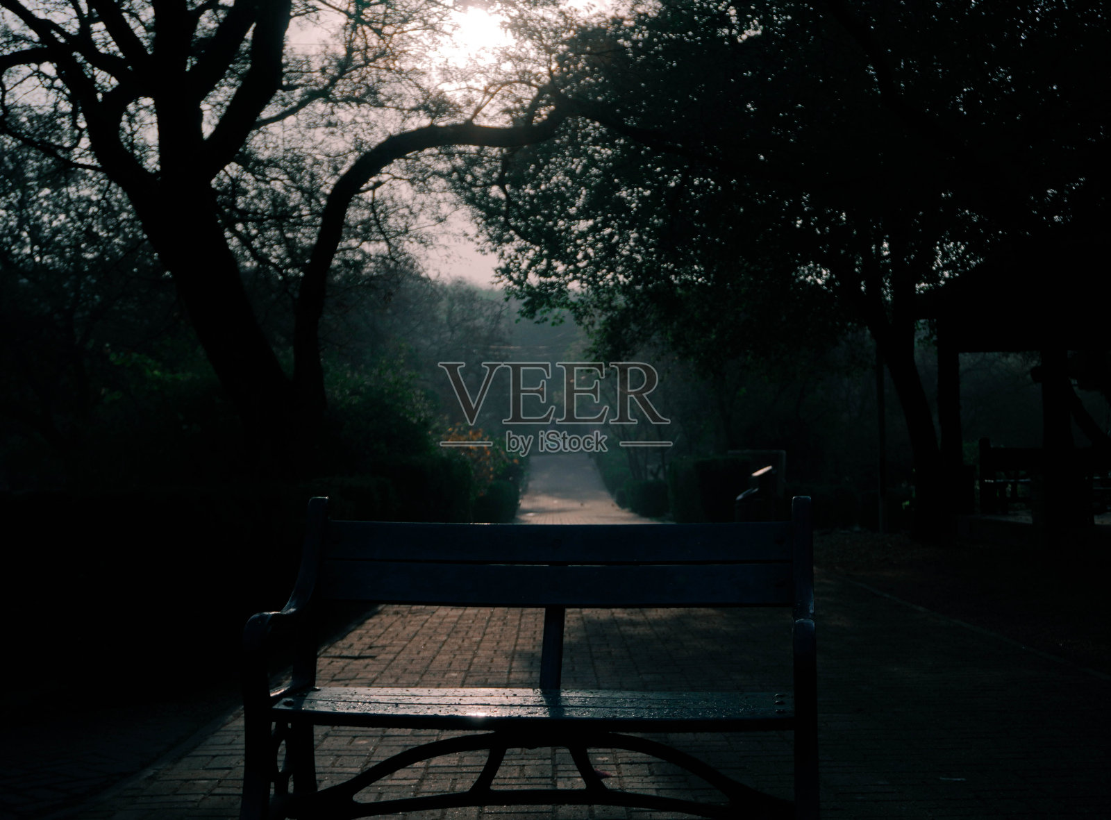 早晨阳光洒在长凳上照片摄影图片